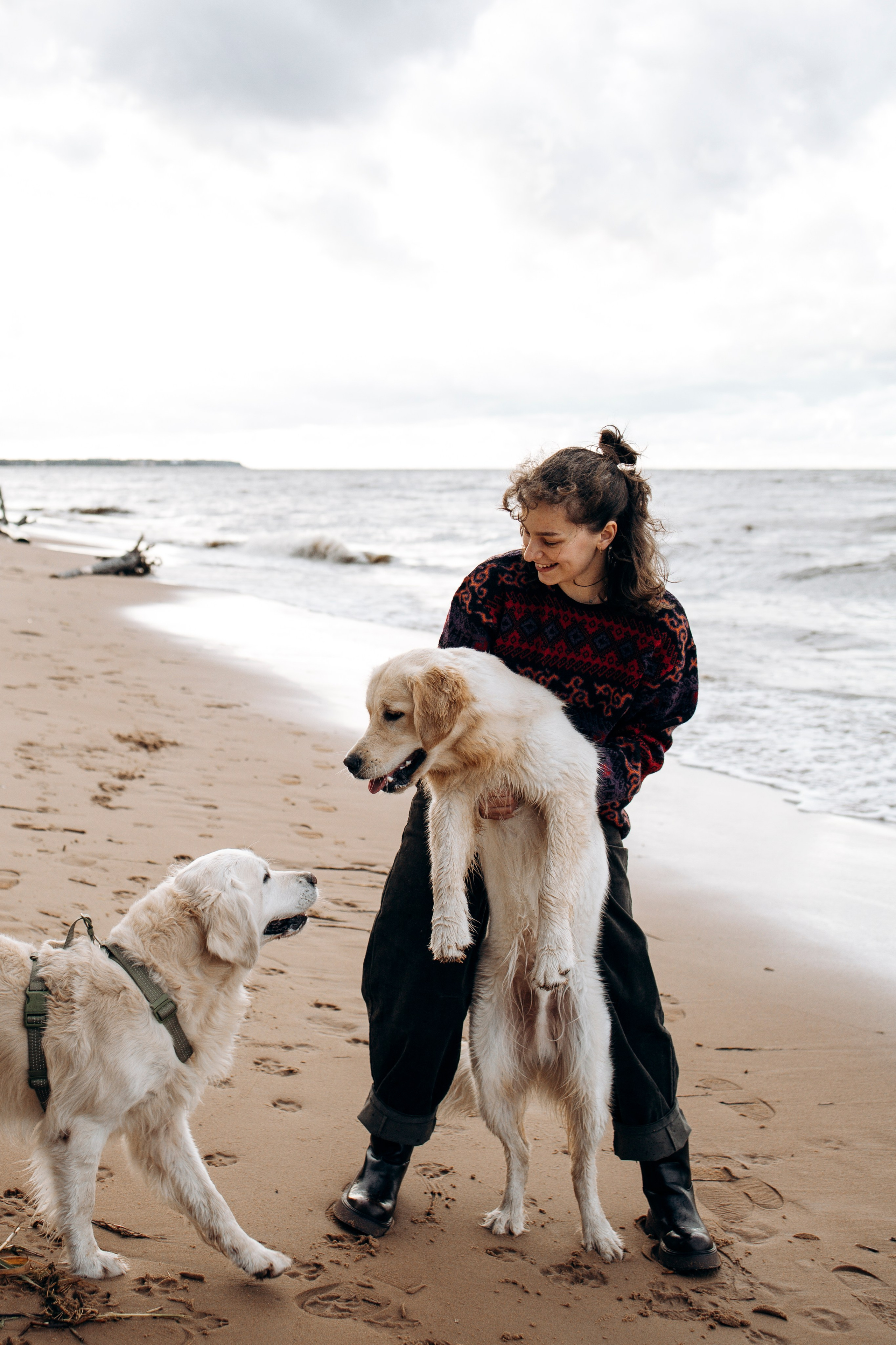 Прогулка Насти с Арчи и Арагоном. Фотограф-анималист в Санкт-Петеребурге Титова Алиса