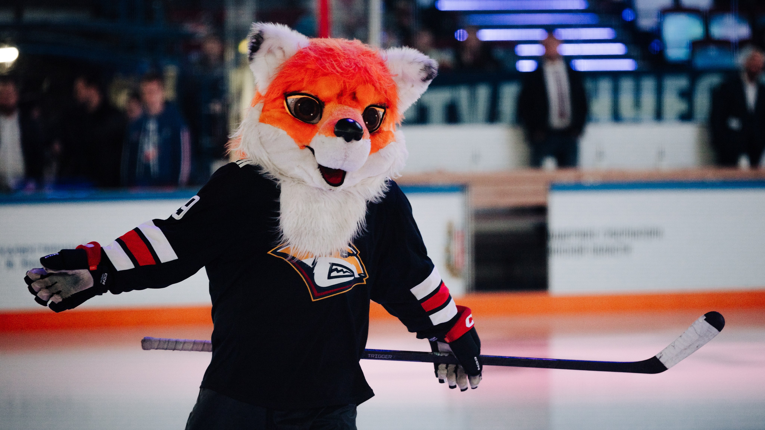 Кубок Поколения // 15.02.25. Денис Прохоров Фотограф в г. Магнитогорск