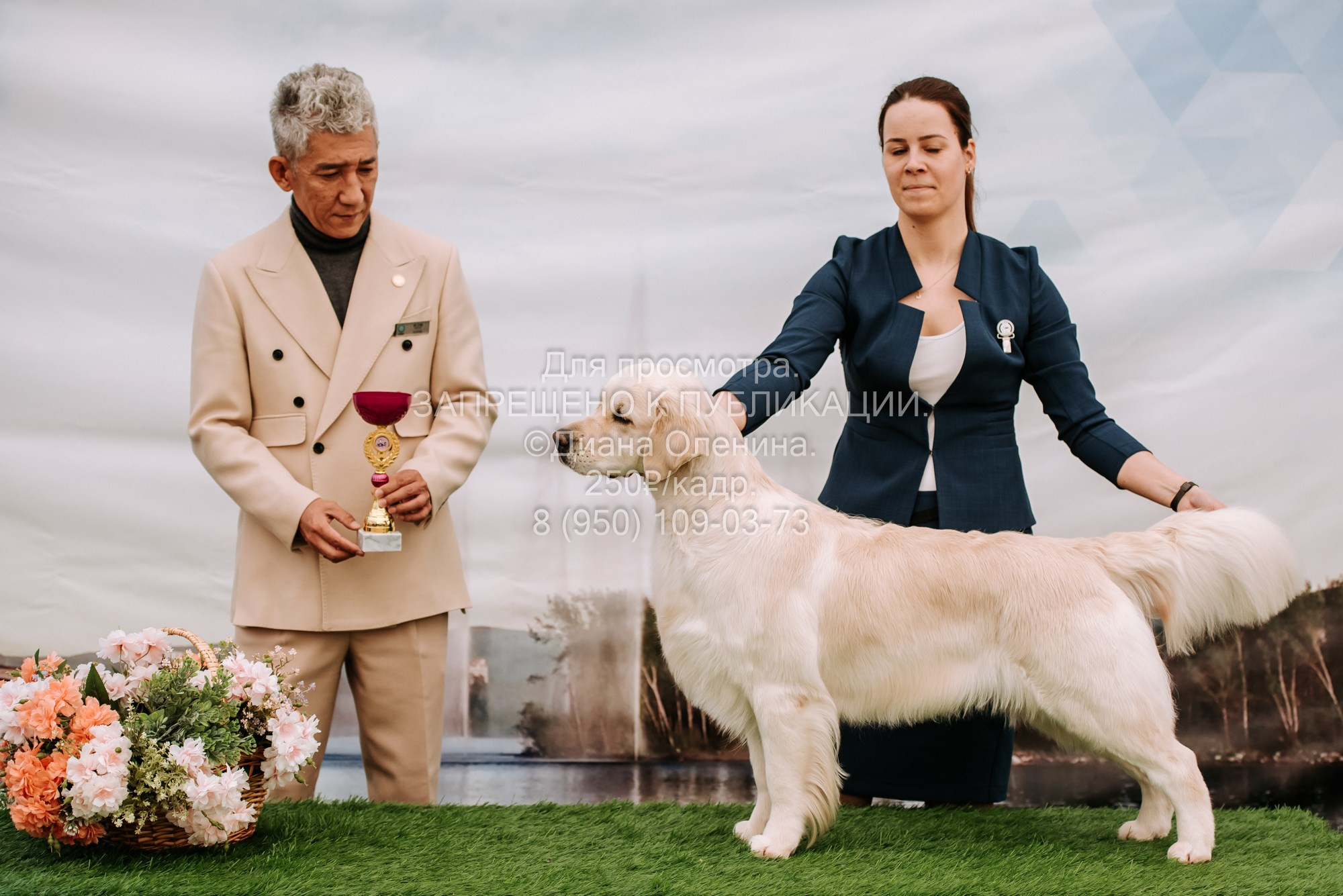 Выставка собак Красноярск 2.06. Фотограф Диана Оленина Красноярск / Братск