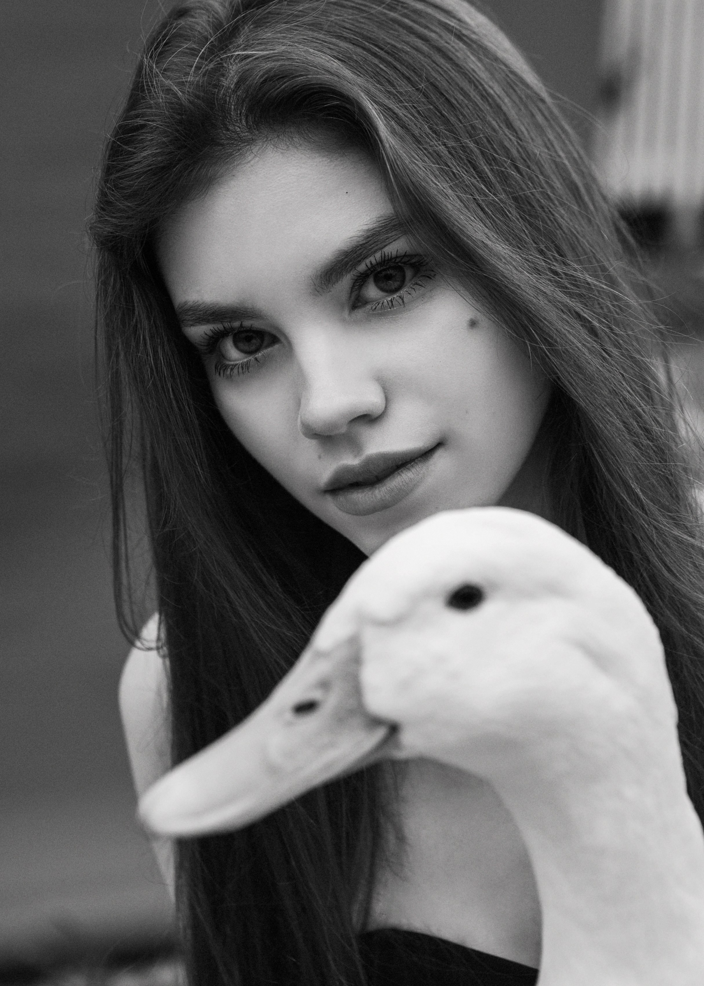 LIZZY. Коммерческий и репортажный фотограф в Санкт-Петербурге Андрей Васильев