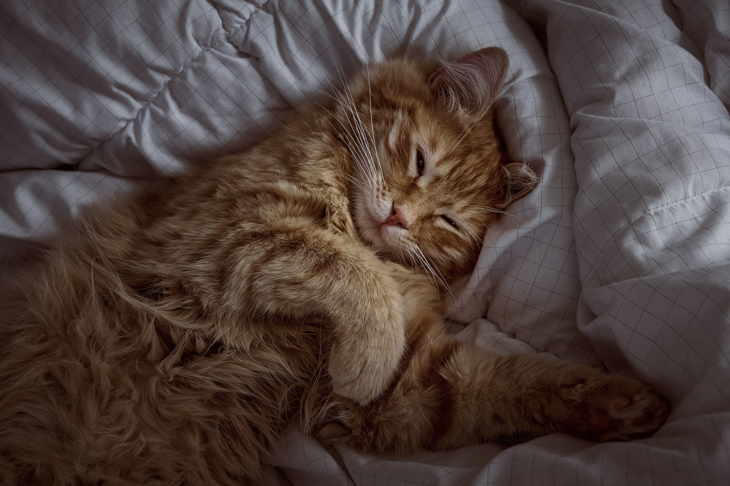 Сyprus > 2024 / april. Aleksandr Kobtsev