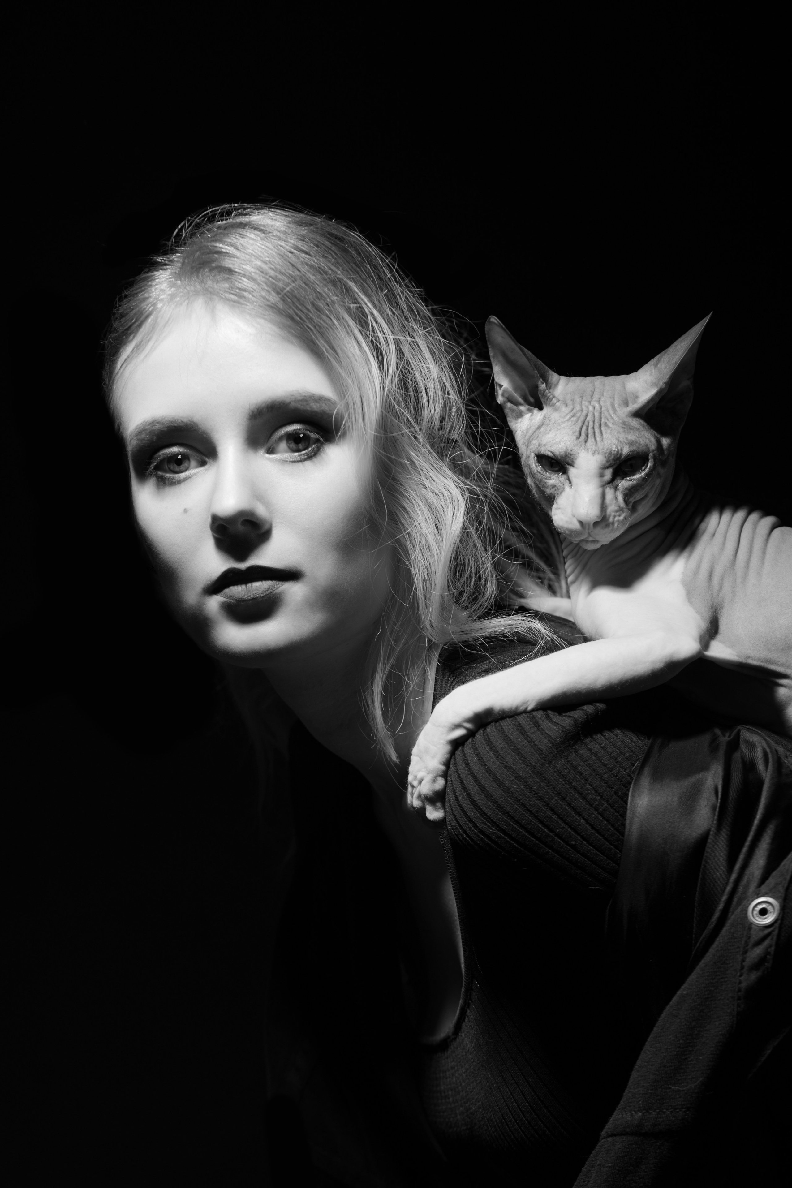 Кот породы сфинкс лежит на спине своей хозяйки