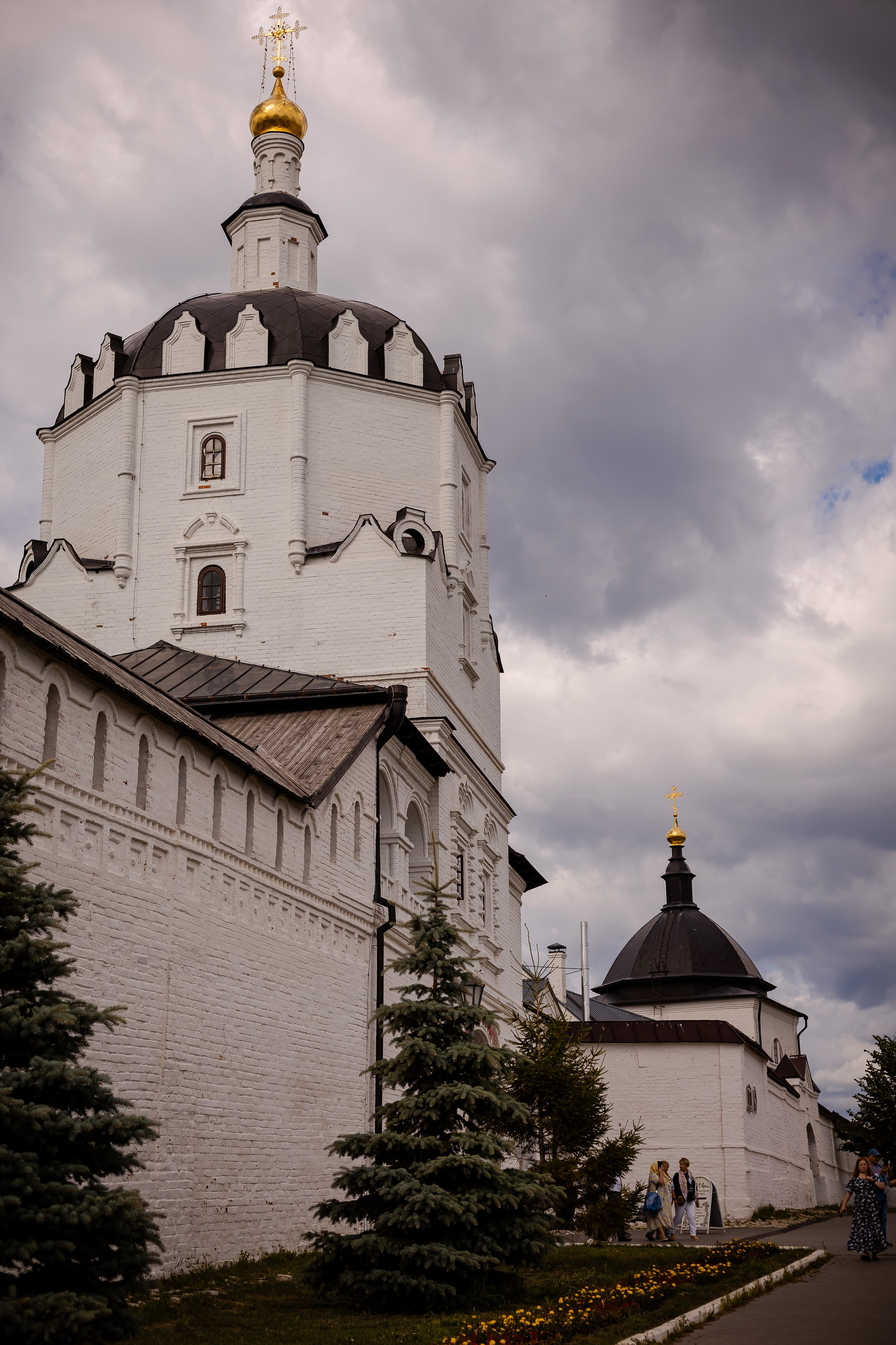 Фотосъемка собак, щенков, на выставках, фотограф анималист Россия воронеж. Питомник собак Акита, Хаски, Корги