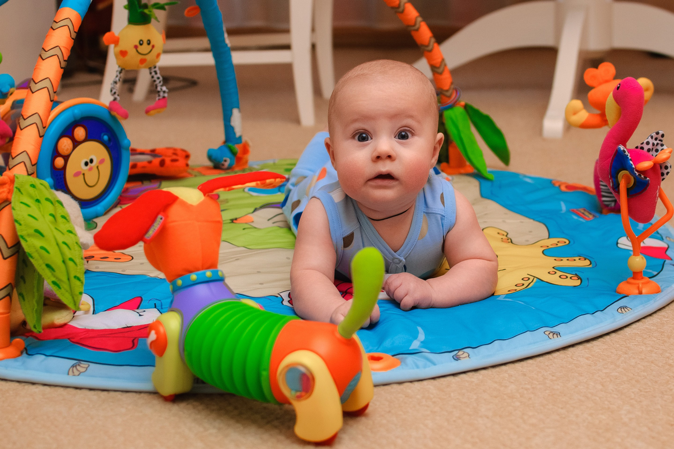 Фотосессия в студии, услуги и цены у профессионального портретного фотографа в СПб. Фотостудия, Портрет, Ню, Будуар, Детская фотосессия. Фотограф Алексей Лукин. Профессиональная фотосъёмка в Санкт-Петербурге. Обработка и Ретушь фотографий