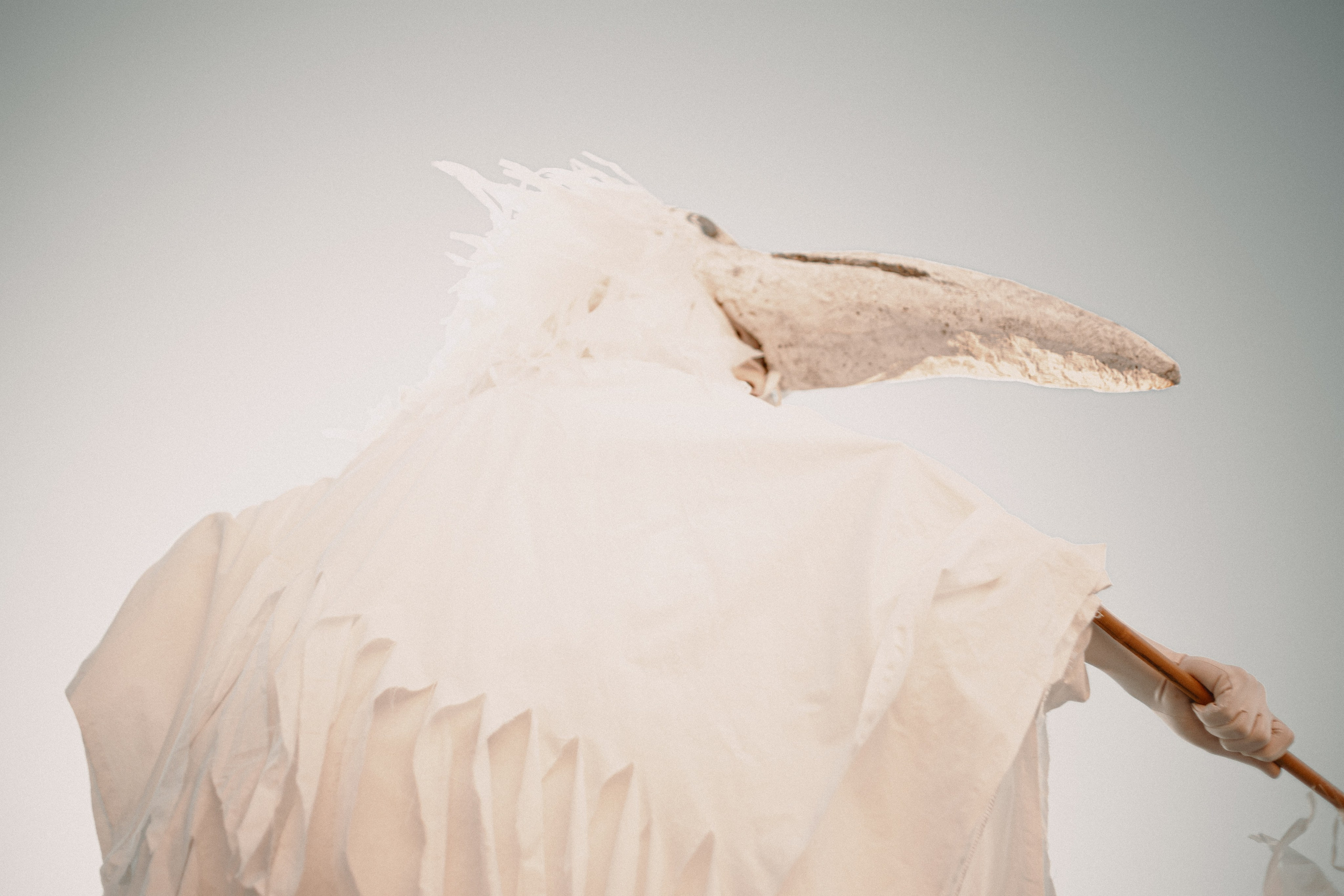 Спектакль «Куриное кабаре» от Свободного молодежного театра | Тобольск. Арт-фотограф Крис Л. в Тобольске: портрет, семейные, свадьбы