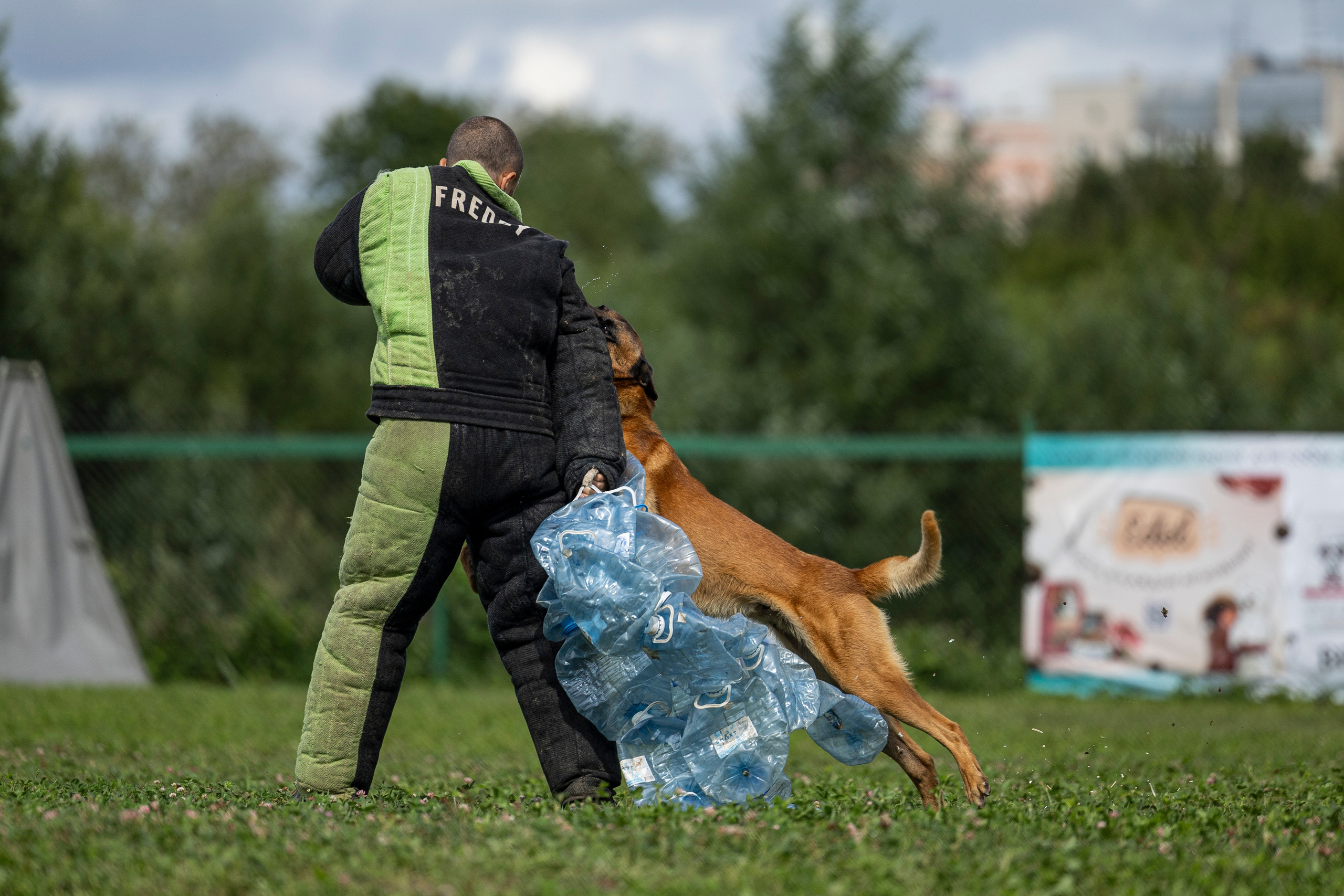 Соревнования по Мондьорингу г. Вологда 10-11.08.2024. Фотограф-анималист Анна Маринич