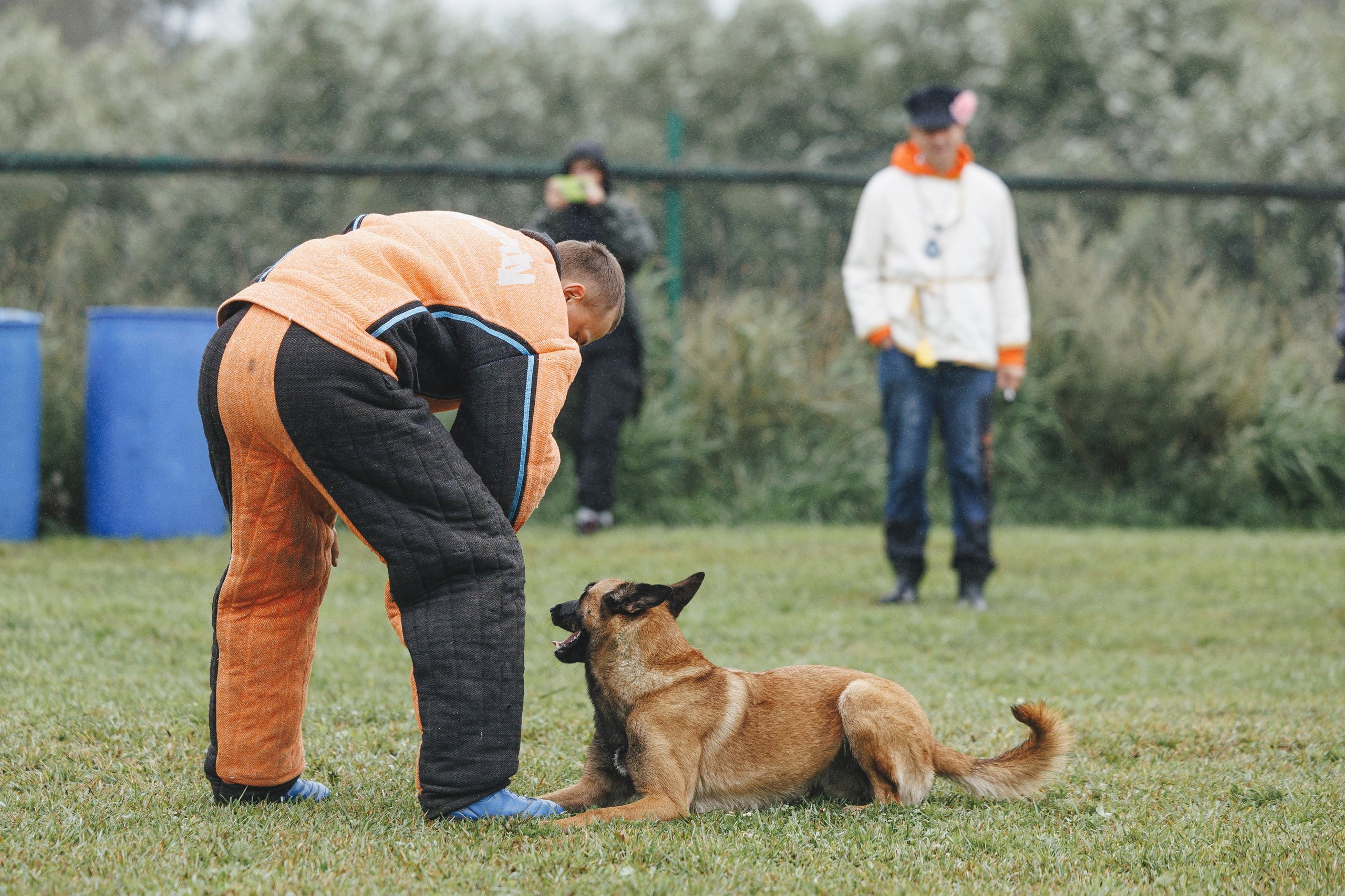 08.08.25-10.08.25 ЧР по мондьорингу г. Вологда. Фотограф-анималист Анна Маринич