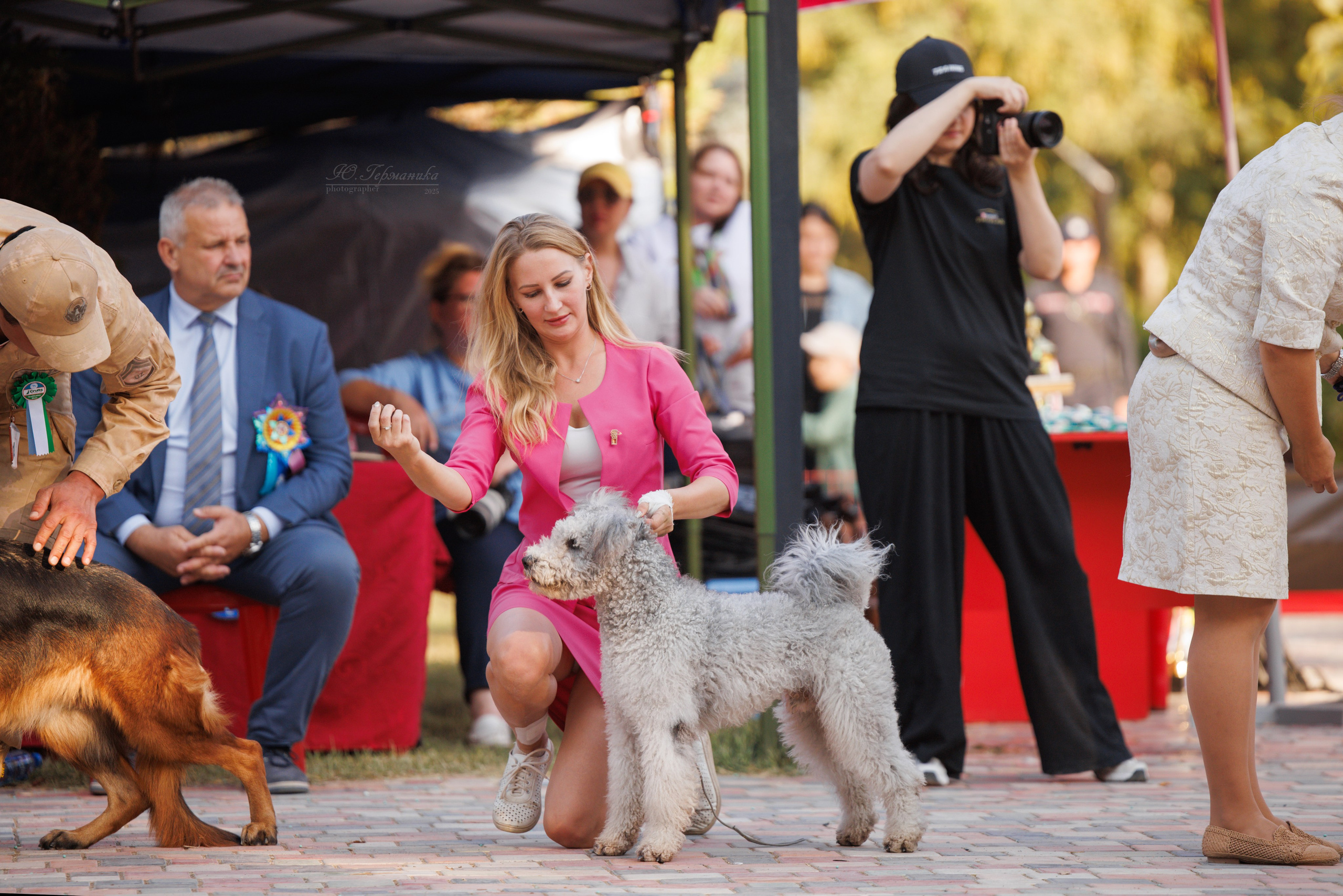 Ташкент 3хCACIB 3-5.10.2025. Фотограф-анималист Юлия Германика