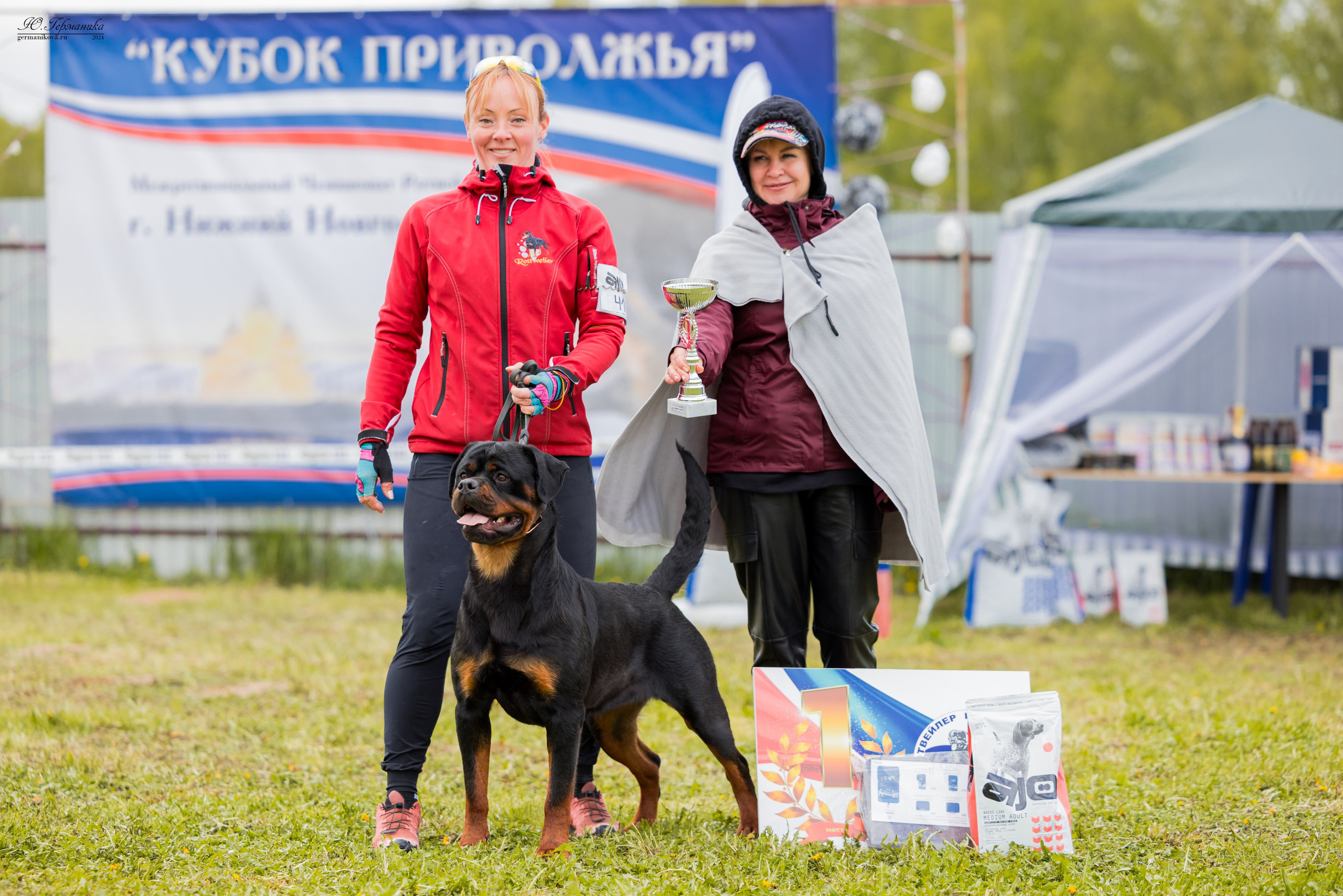 Нижний Новгород 11-12.05.2024 моно ротвейлеров. Фотограф-анималист Юлия Германика