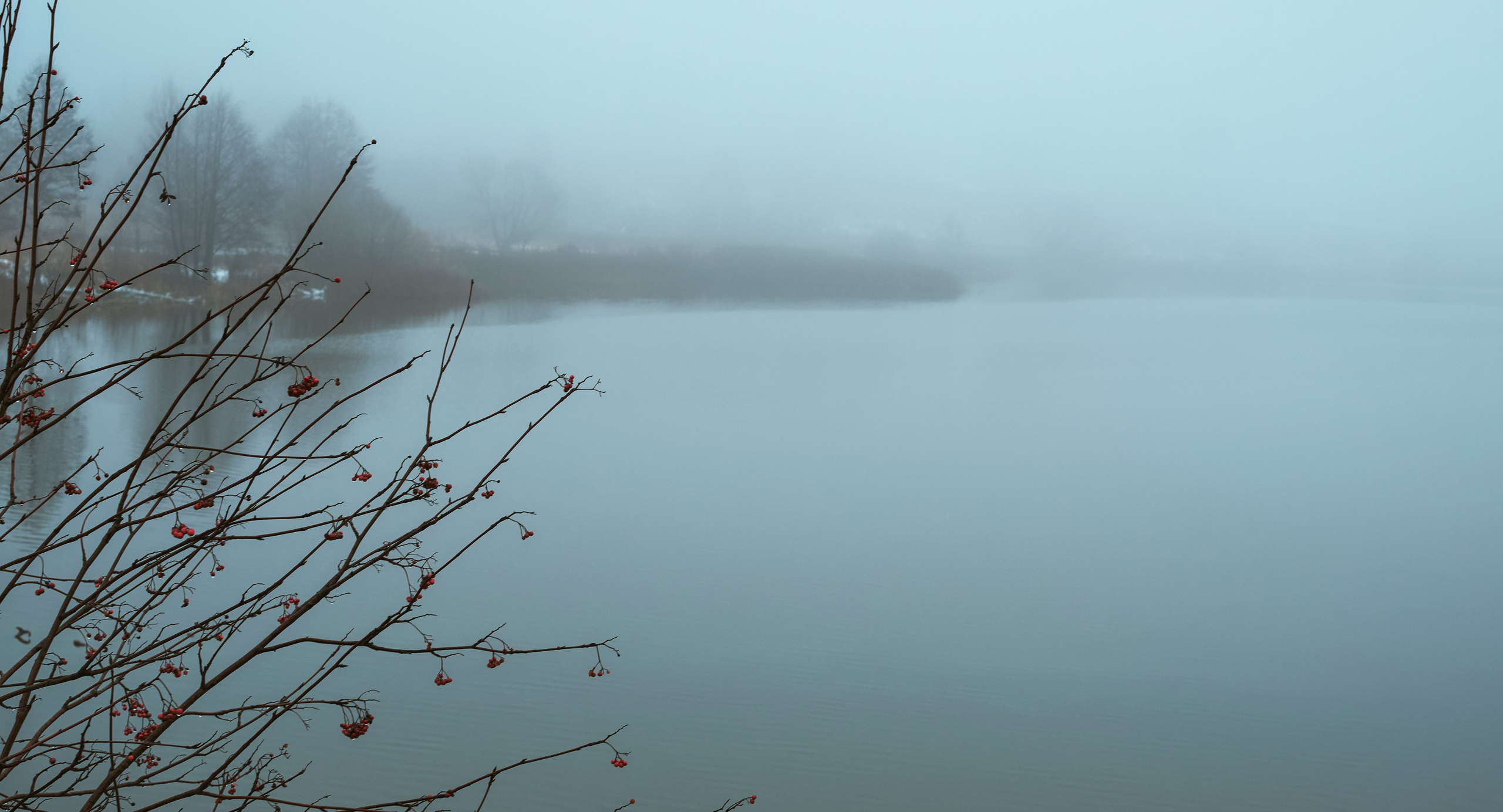 Съемкав туман. Фотограф для маркетплейсов в Иваново | Съемки одежды и белья