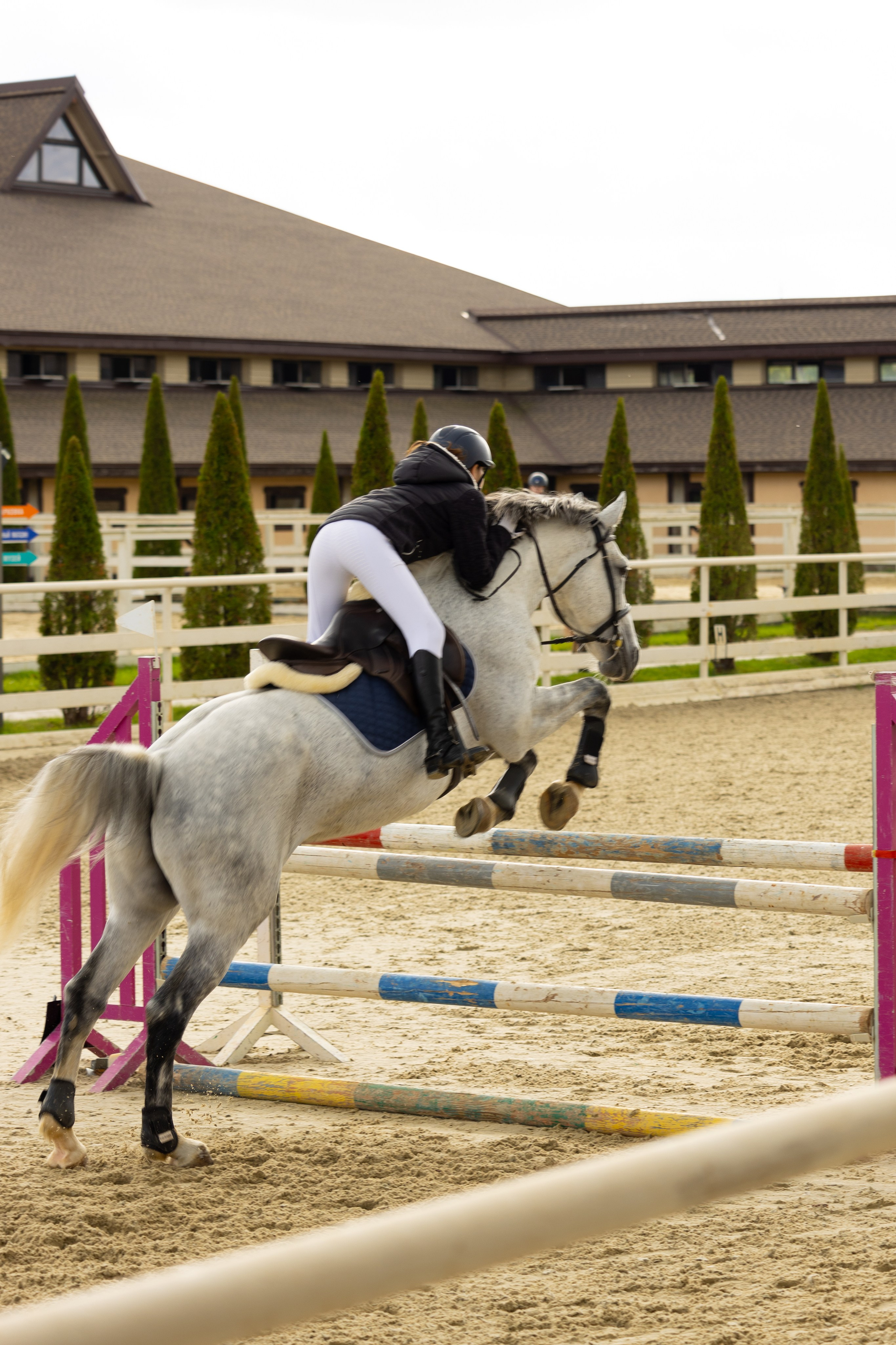 Соревнования по конкуру. Фотограф в Москве Светлана Богначева