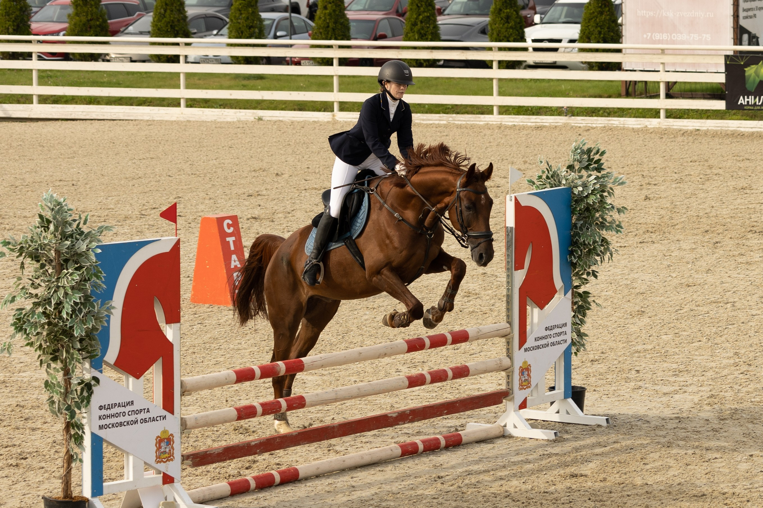 Соревнования по конкуру. Фотограф в Москве Светлана Богначева