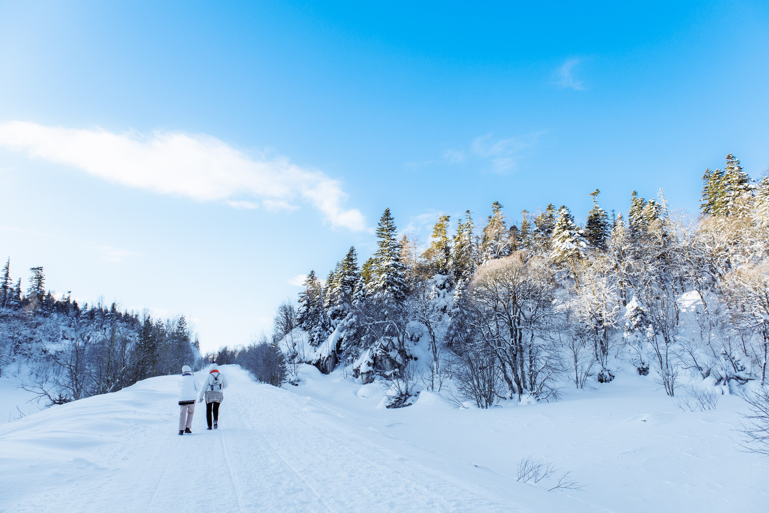 Адыгея. Лаго-Наки 27.01.24. Фотограф katya_vkadre Таганрог
