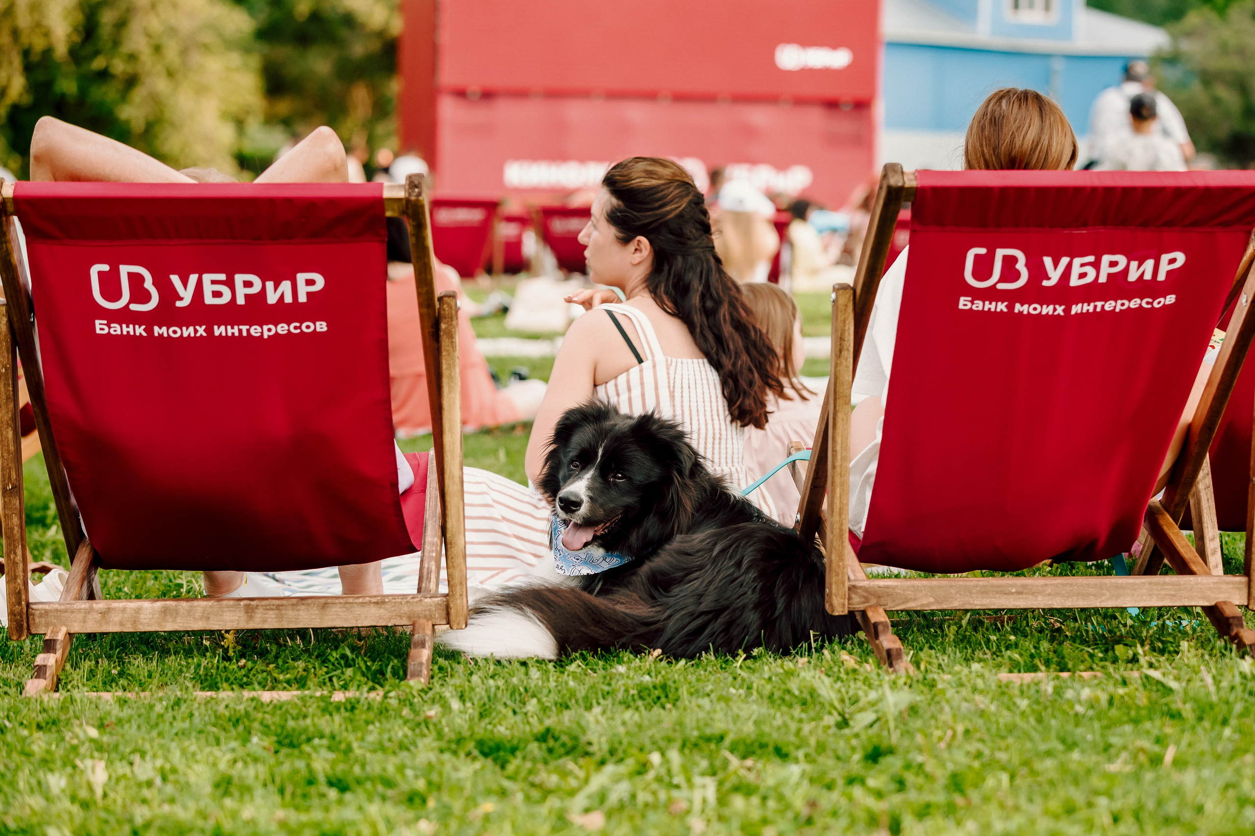 Массовые мероприятия на открытом воздухе. Лёшка Варзегов — фотограф