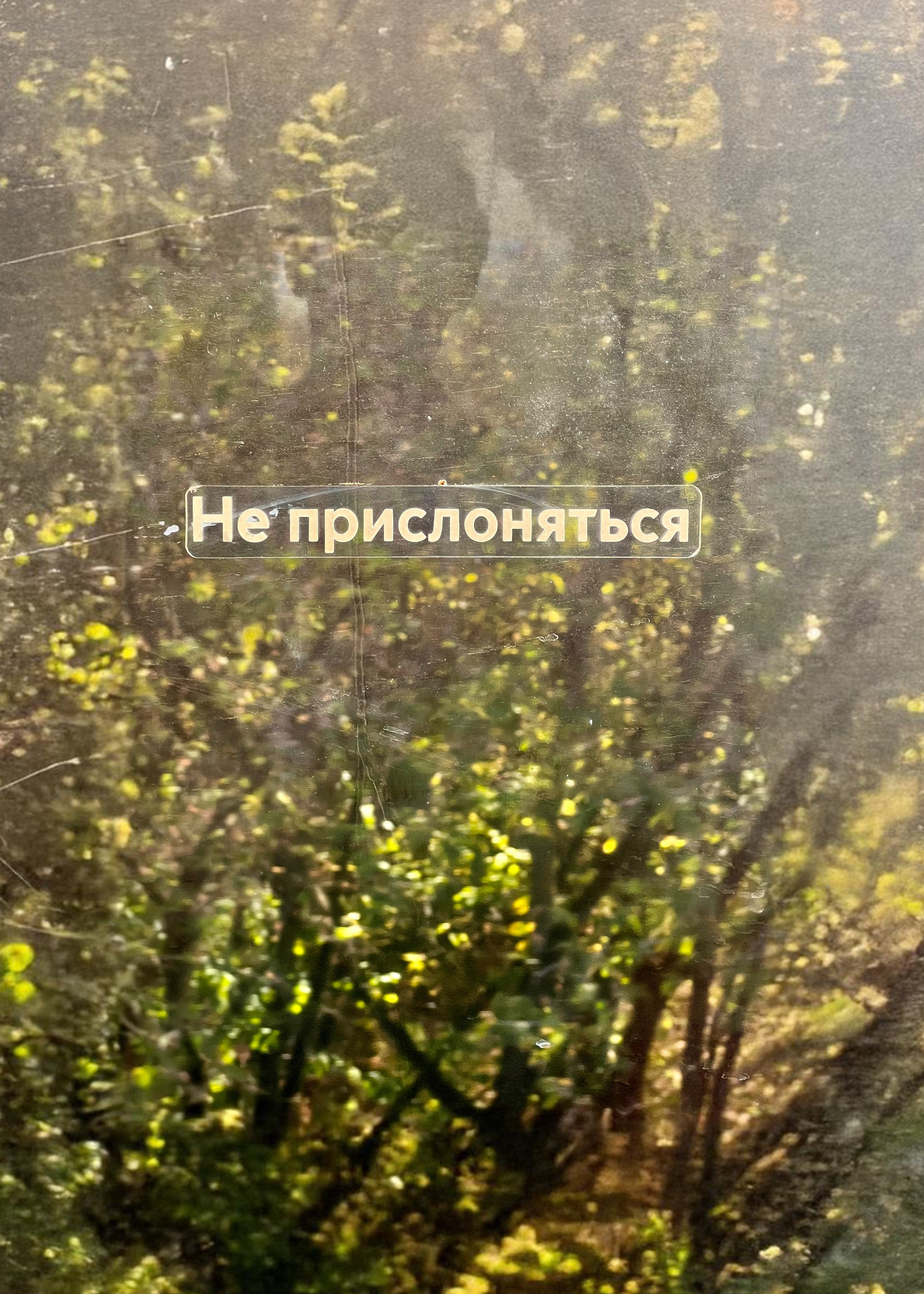 Типологический фотопроект «Не прислоняться». Эдуард Гаджиев — фотограф Москва