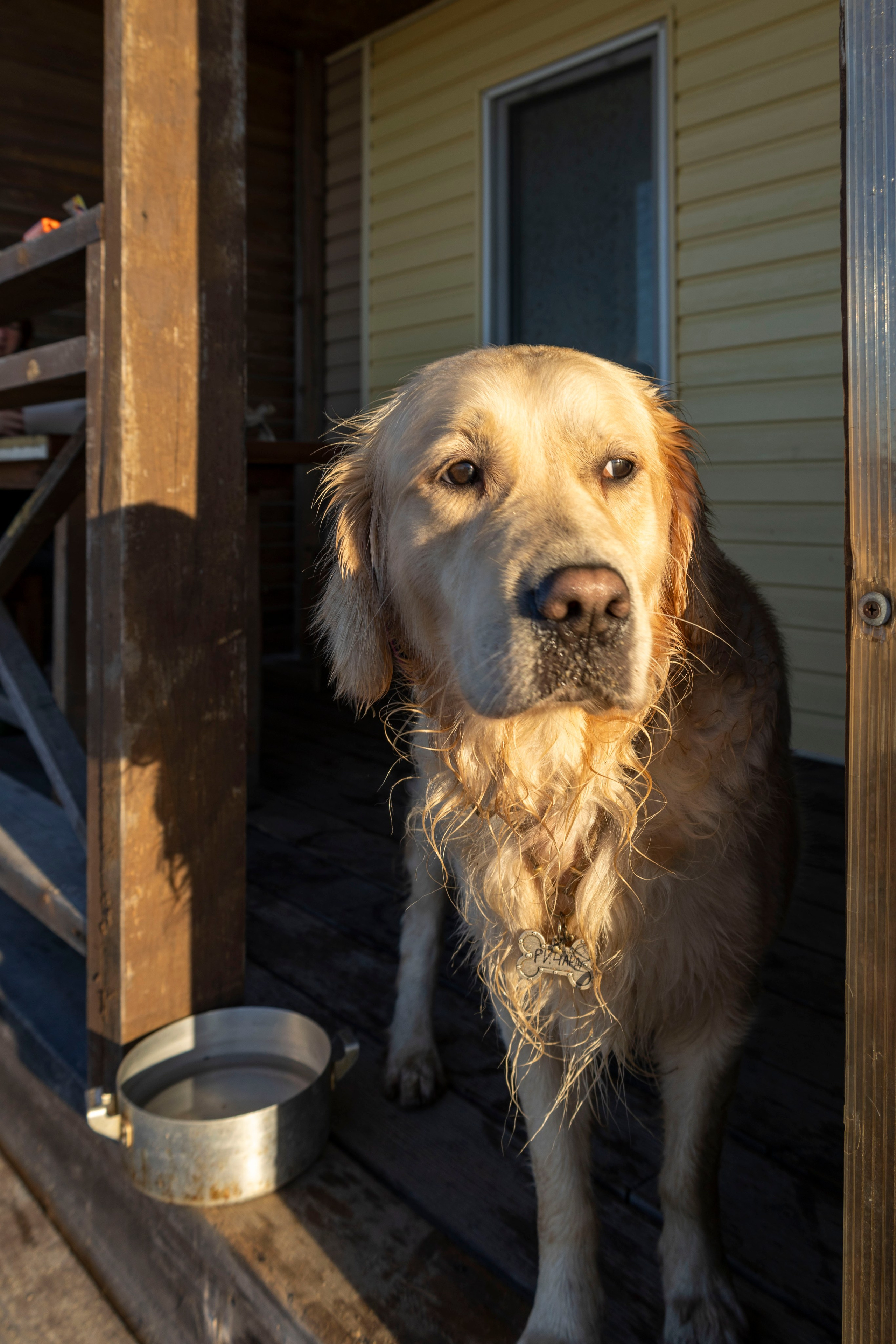 Фотосессии. Фотограф г. Владивосток