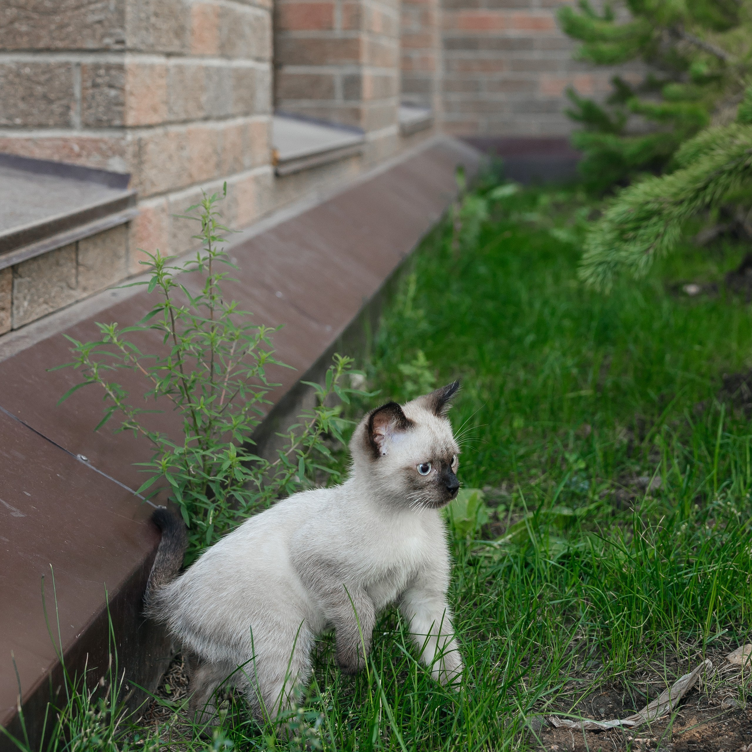 Проект 1. ЖК Buharest, Manhettan. Дата: Август 2023. Профессиональный фотограф в городе Астана/Алматы Даурен Сембаев