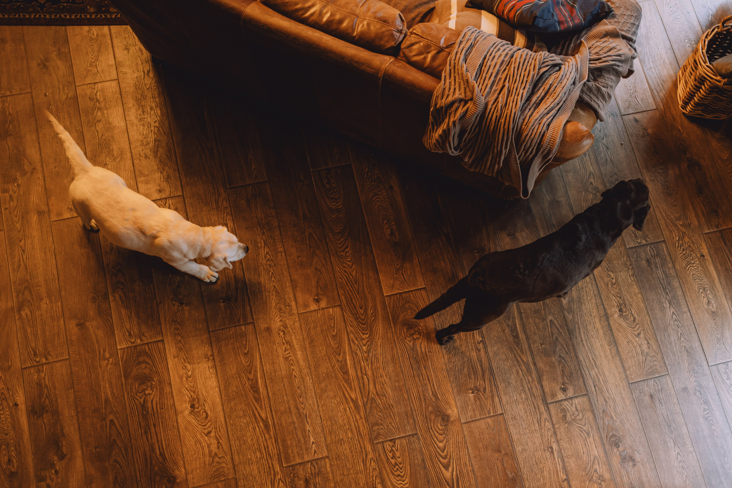 Ума, Берта и их семья