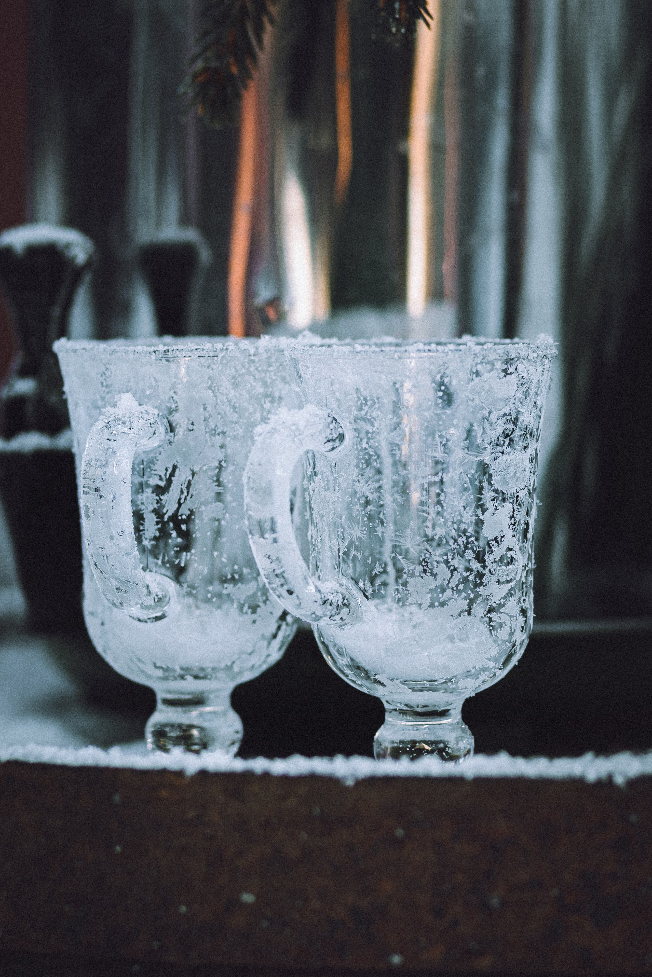 Плюш, Айса и их семья