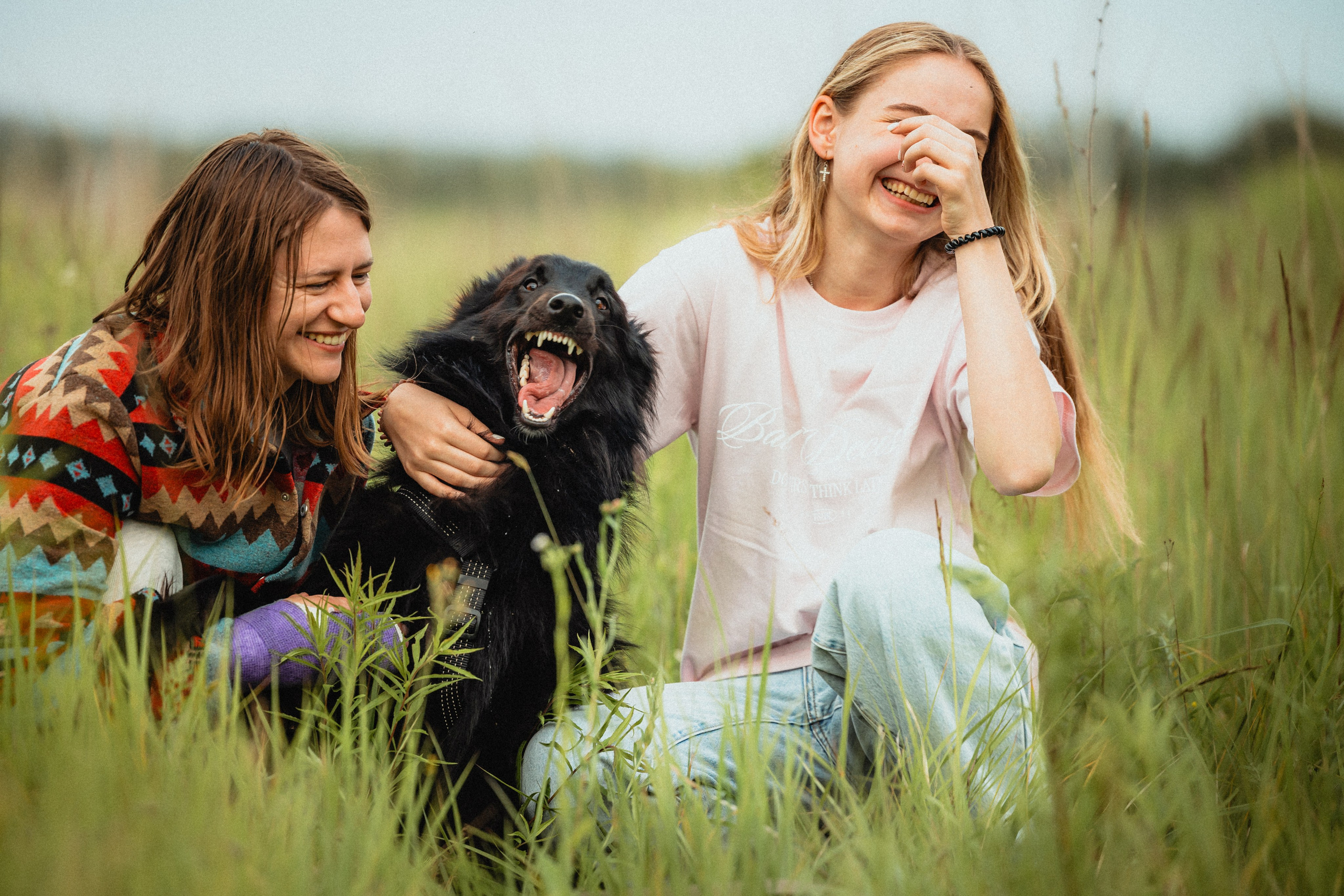 Выездной дог-тренинг от школы «Шерсть имею»