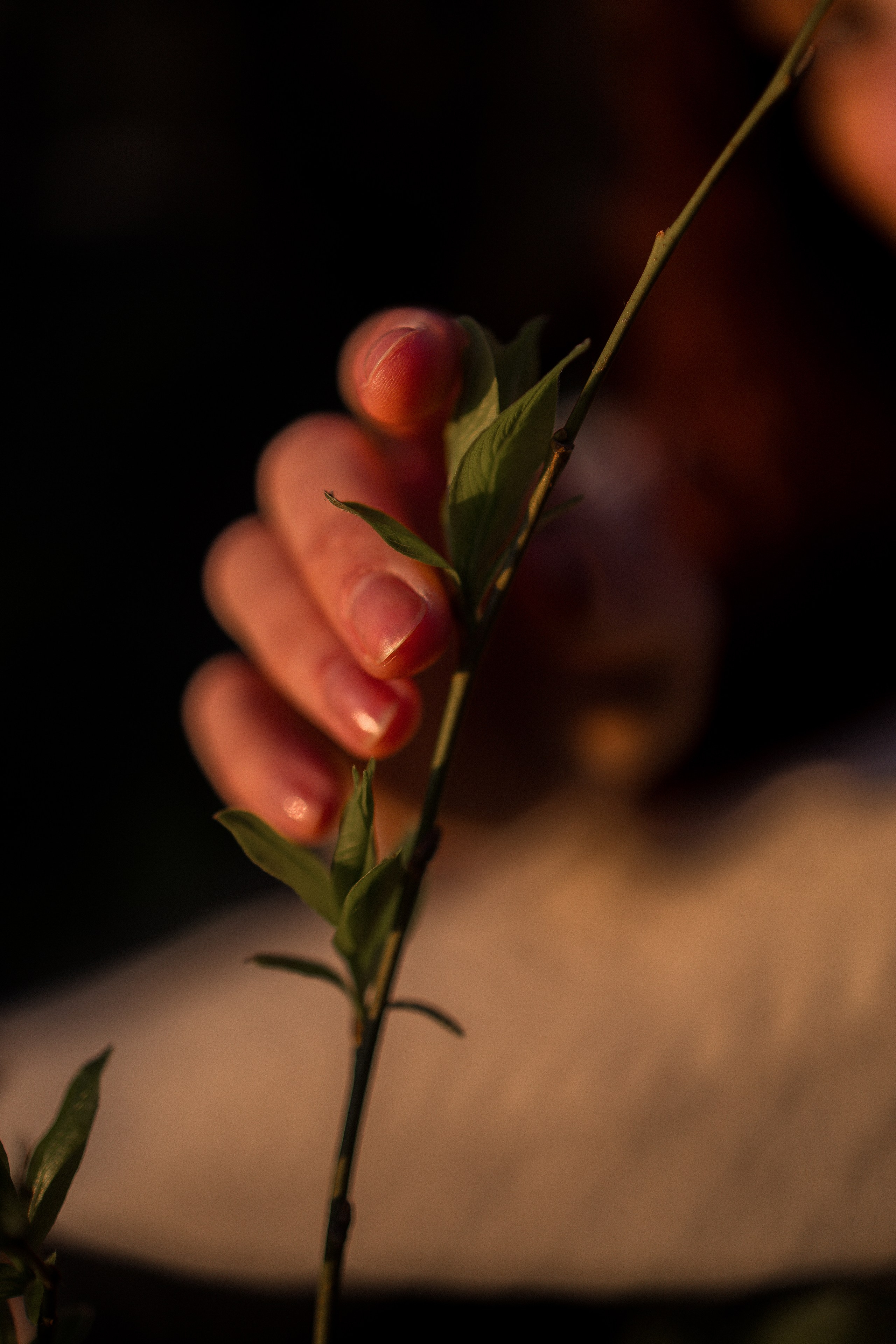 Анастасия. Свадебный фотограф в Петропавловске-Камчатском Артур Зябов