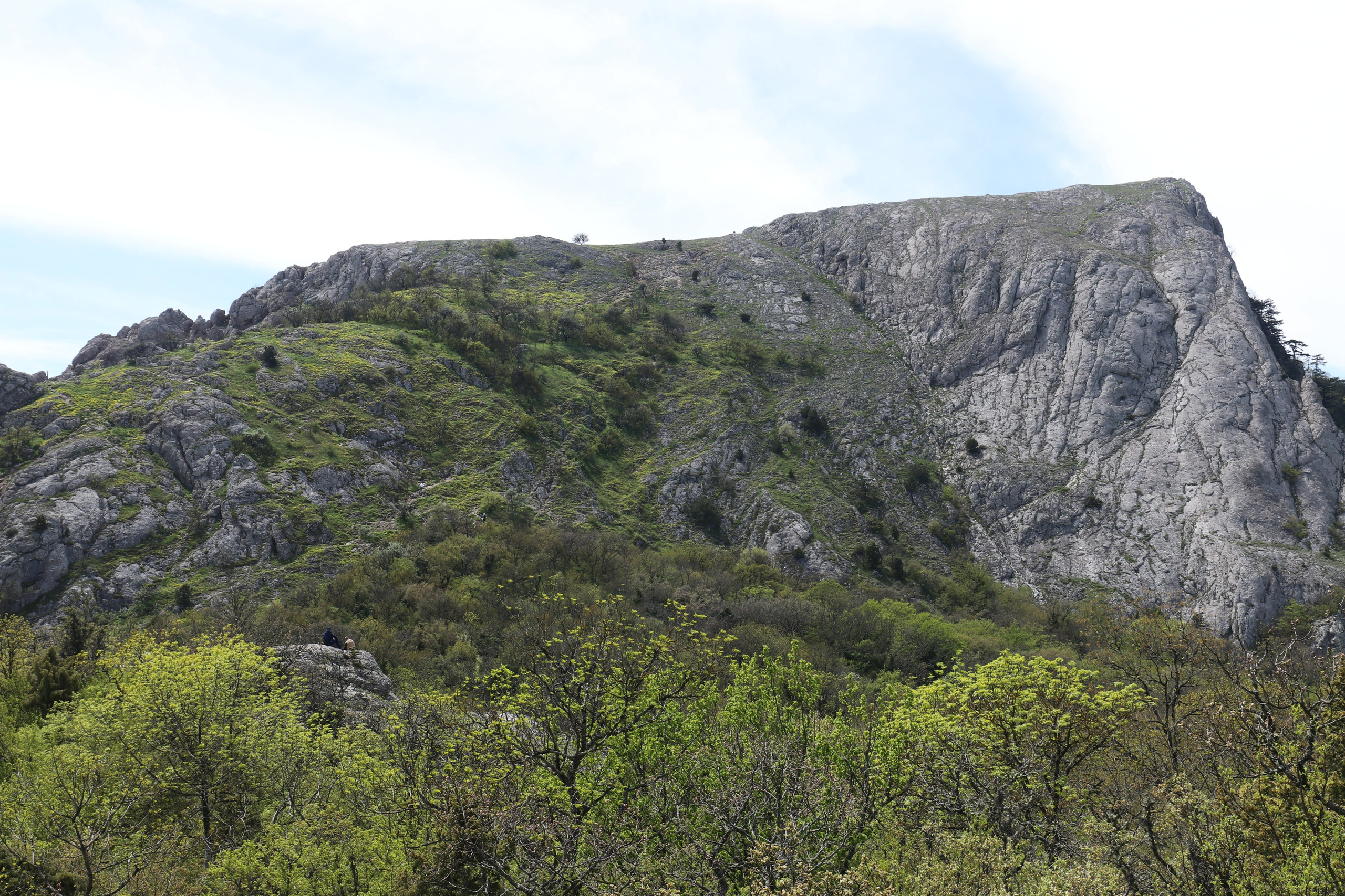 Крым. ЮБК (Севастополь, Кастрополь, Ялта). Май 2023. Путешественник-фотограф из Санкт-Петербурга Татьяна Свистулина