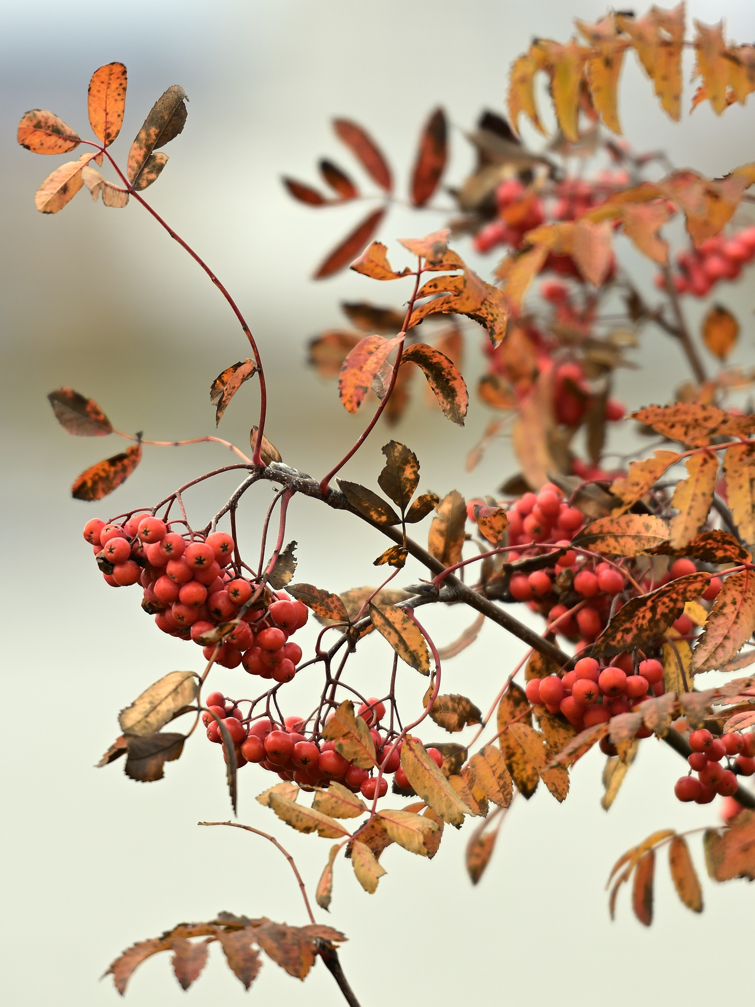 Ижевск. Сергей Люльченко фотоальбом