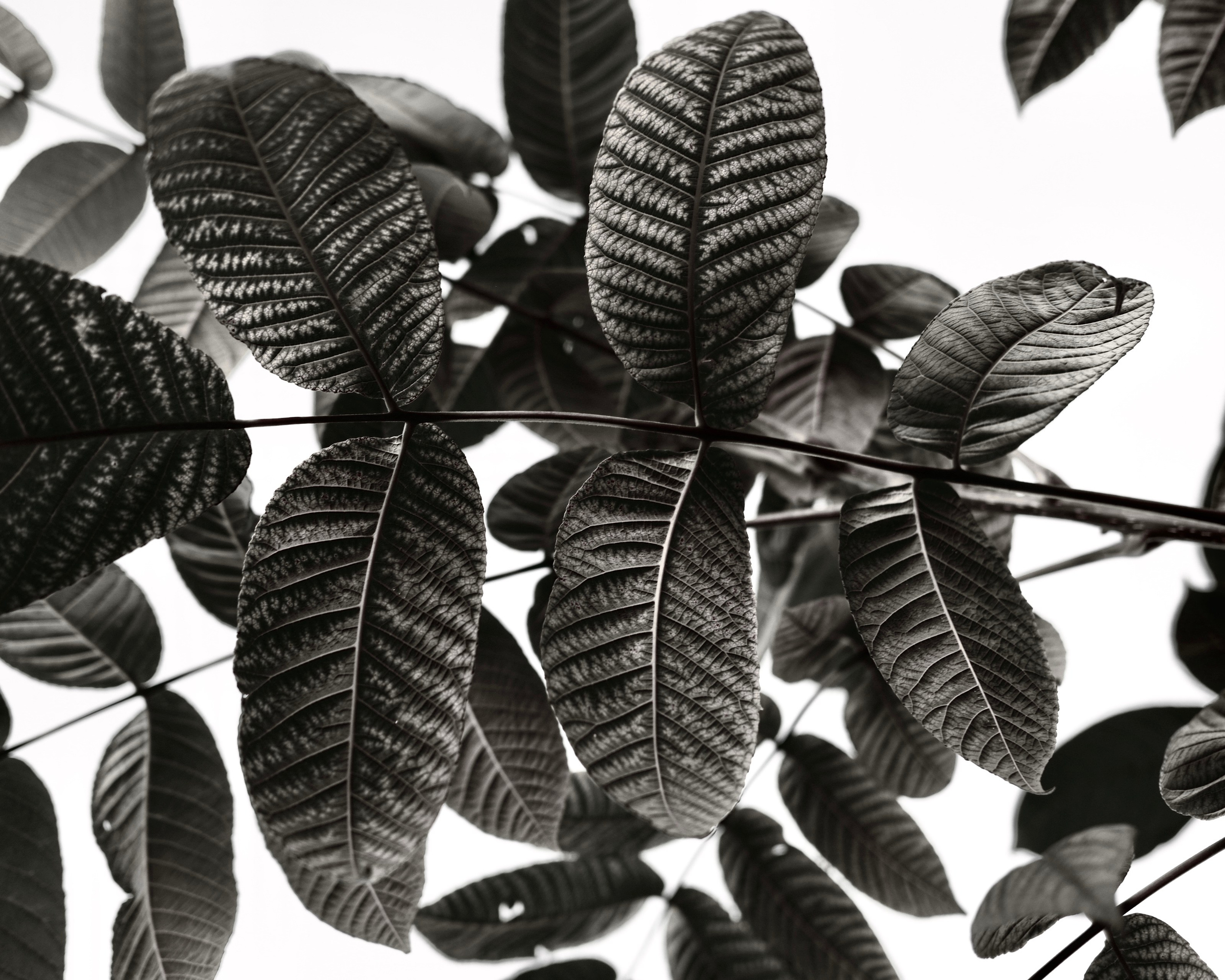 Природа. Фотограф Маргана Лоция