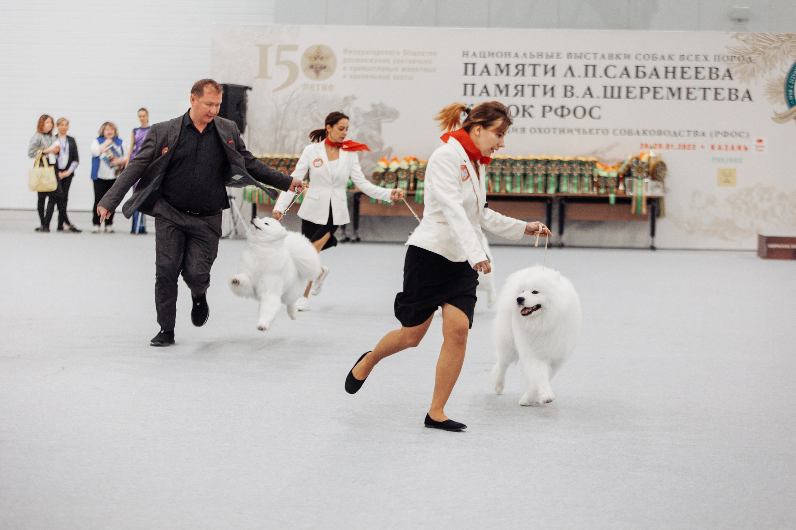 28-29.01.2023 — Казань «Сабанеевка». Фотограф-анималист Саша Вязьмина
