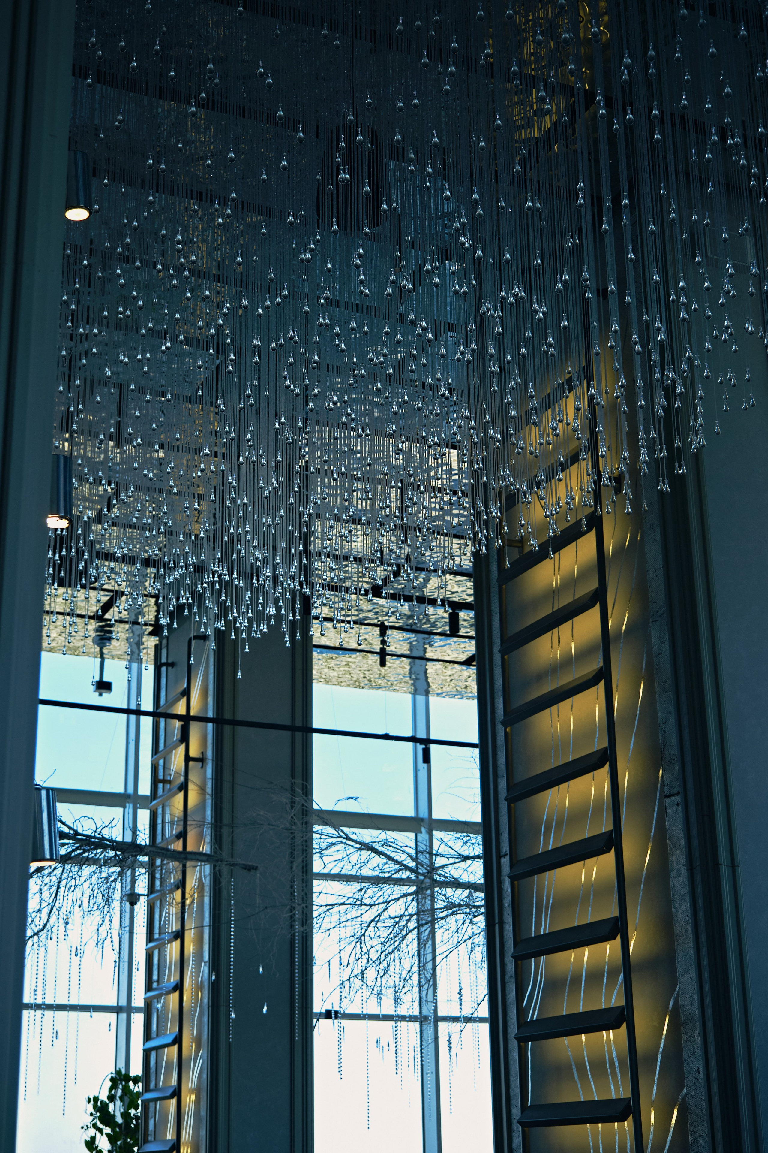 Ксения Почтарь. Декоратор и флорист, город Владивосток