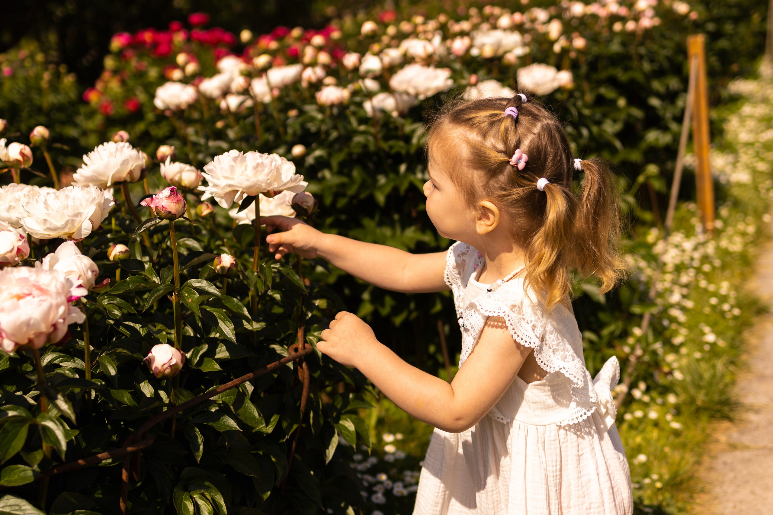 Lydia&Serafima. Семейный и детский фотограф, фотограф беременности, ньюборн в Москве