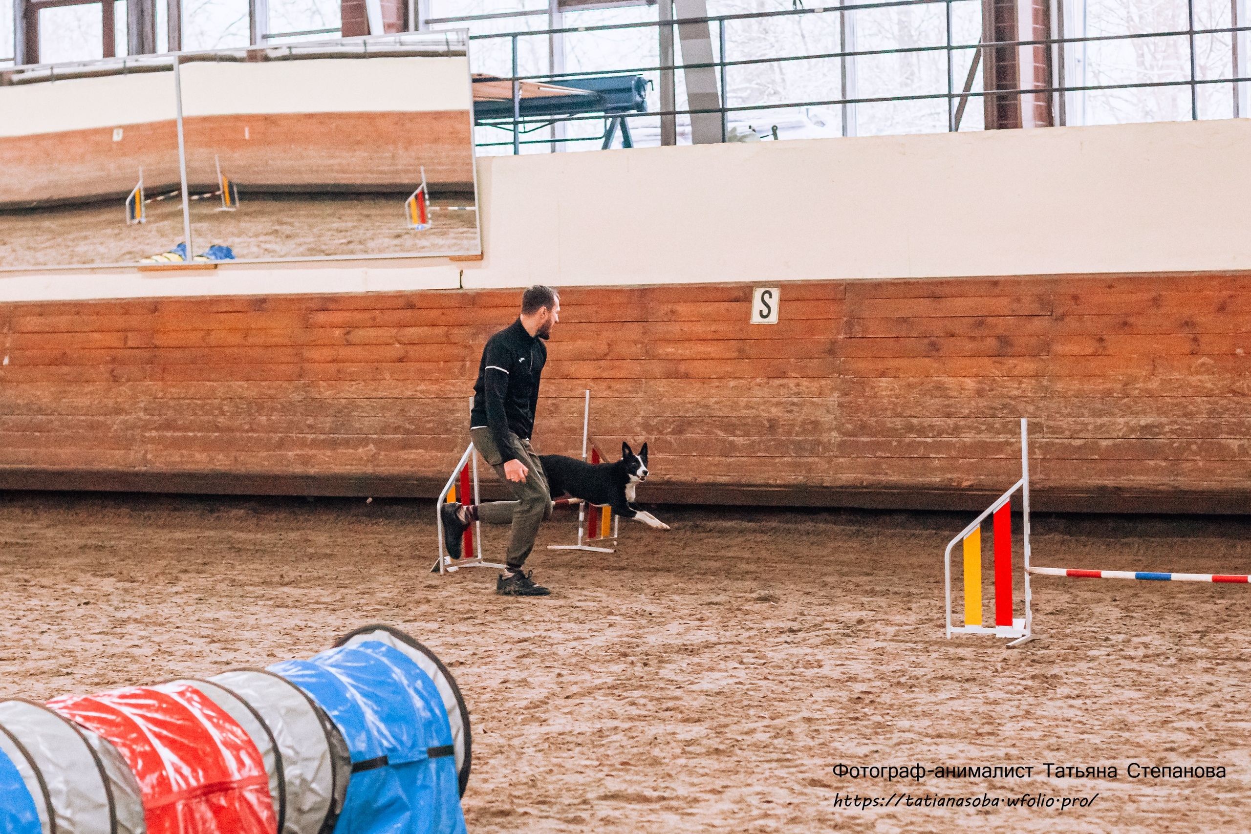 Соревнования по Аджилити 25.02.2024. Фотограф-анималист Татьяна Степанова