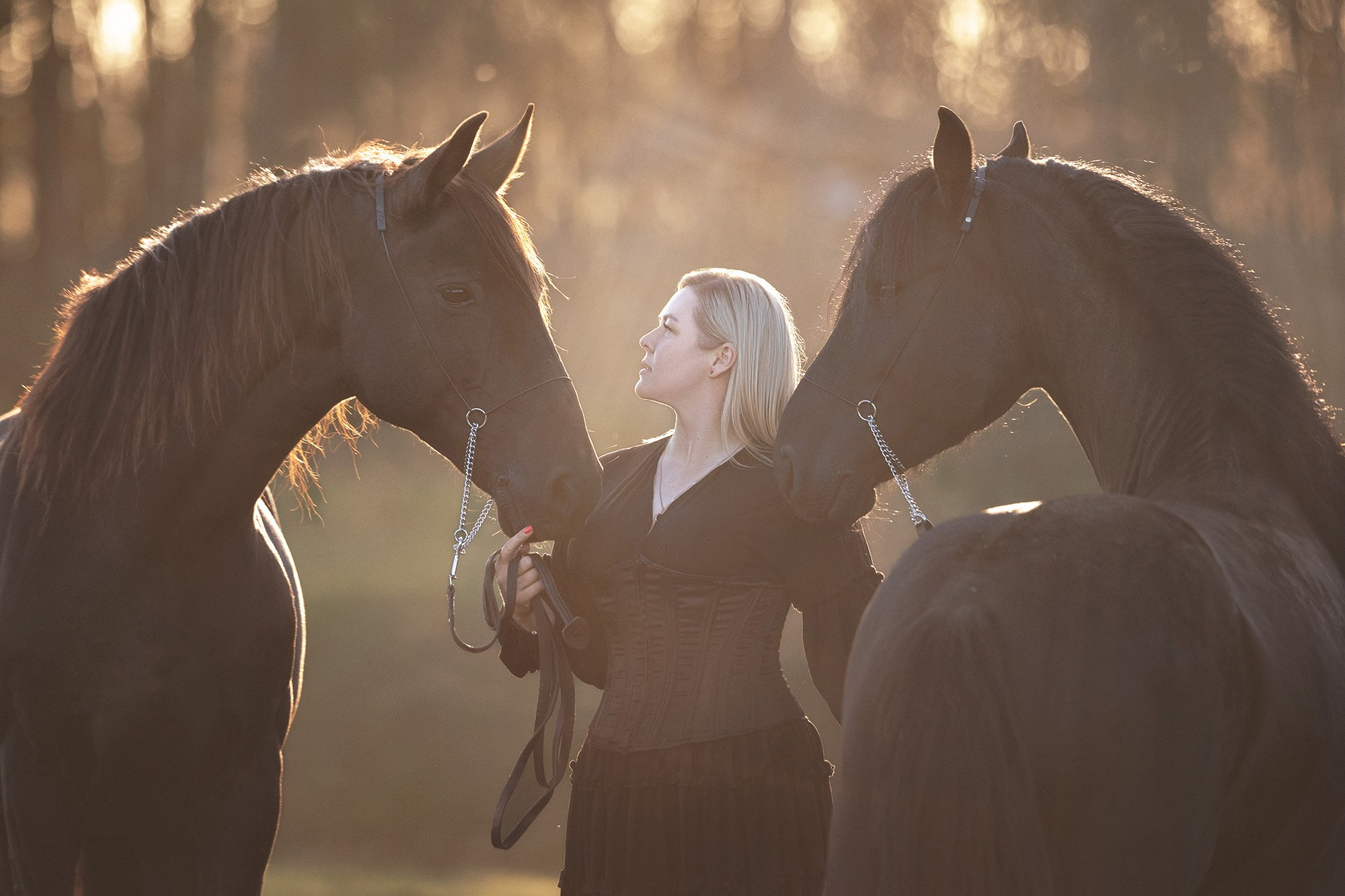 Лошади. Фотограф Анастасия Ветковская, Москва