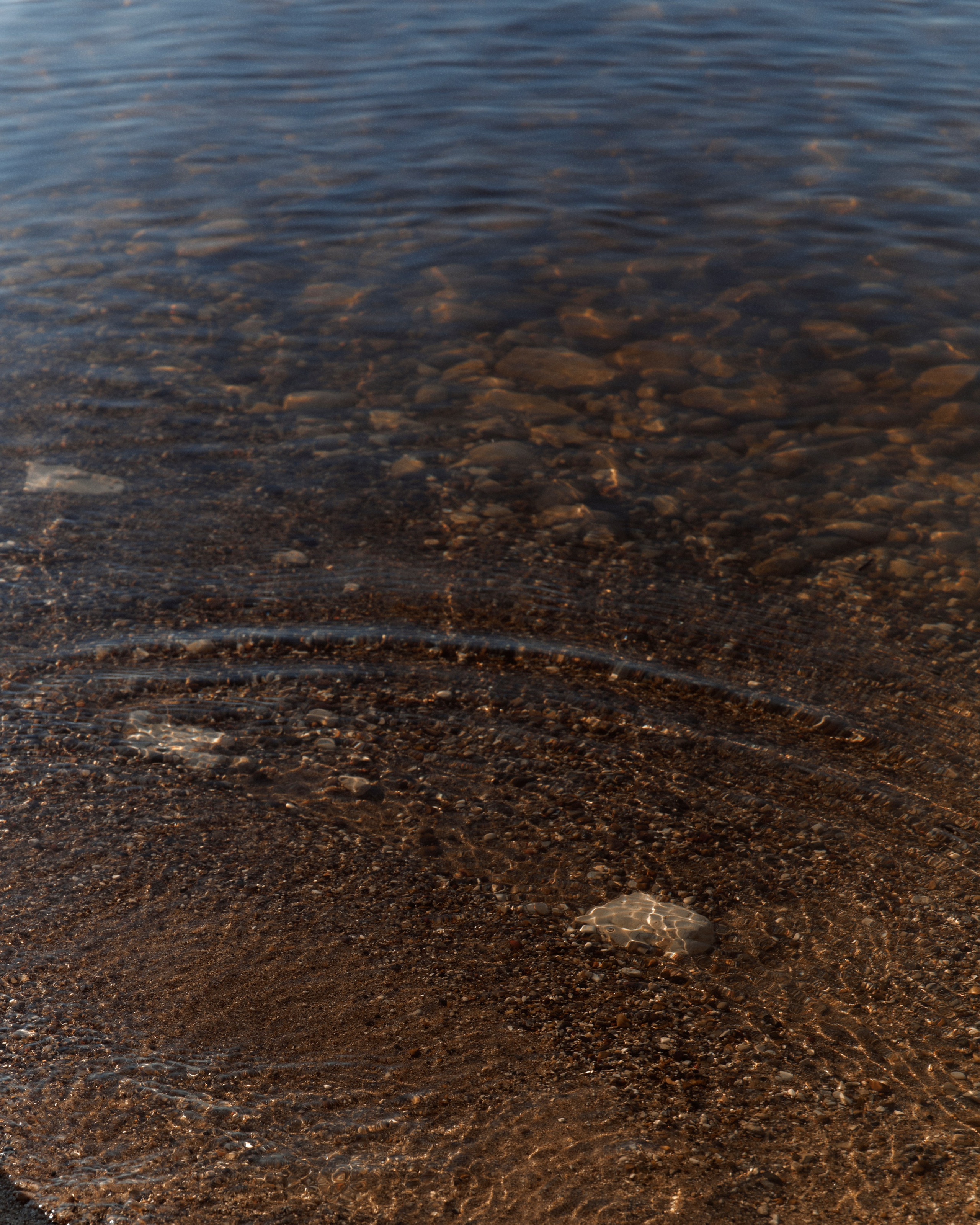 Regina. Z H U R A V L E V