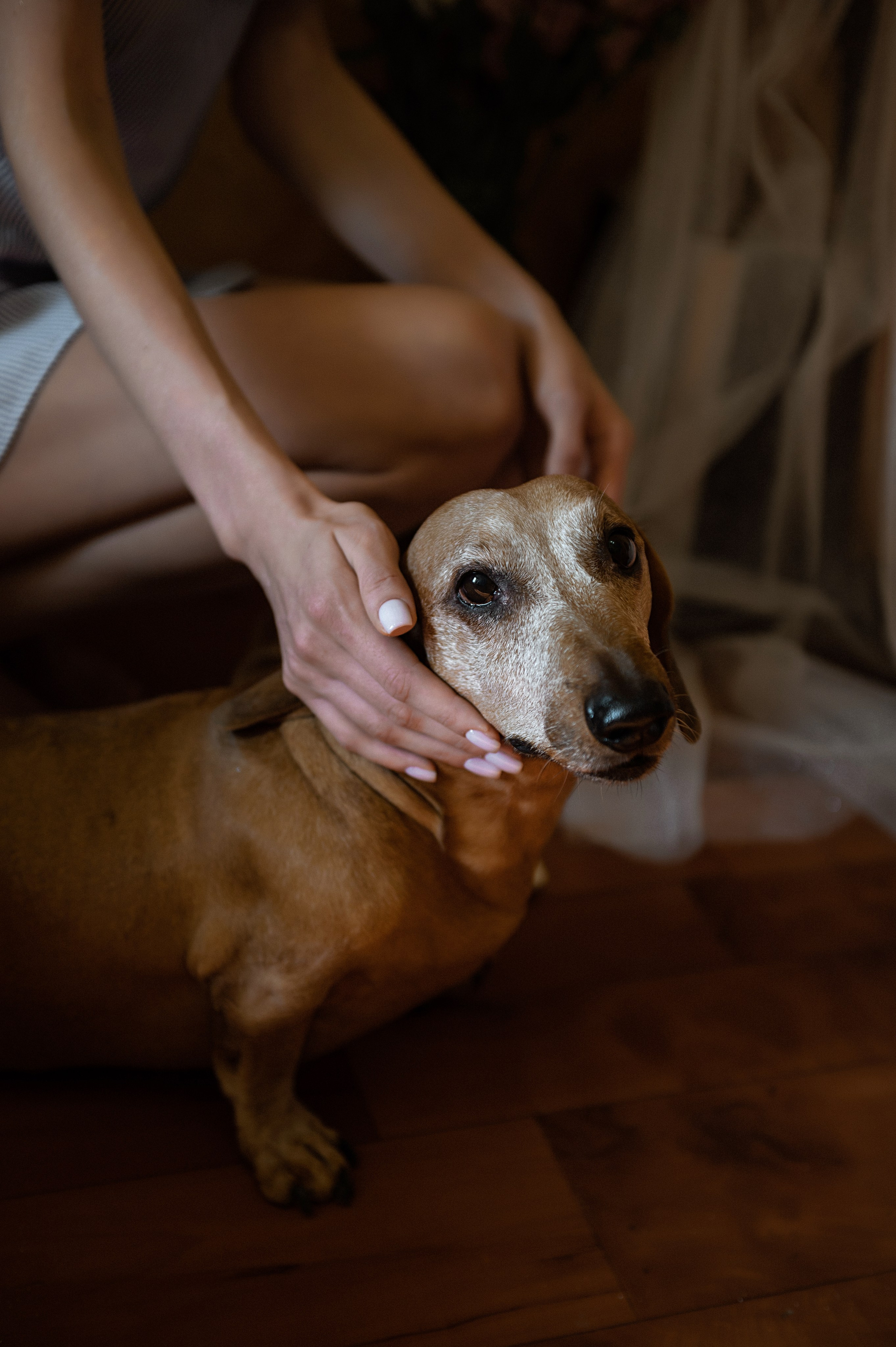 Евгений и Таня. Фотограф Штым Галина — Фотограф в Севастополе, Крыму