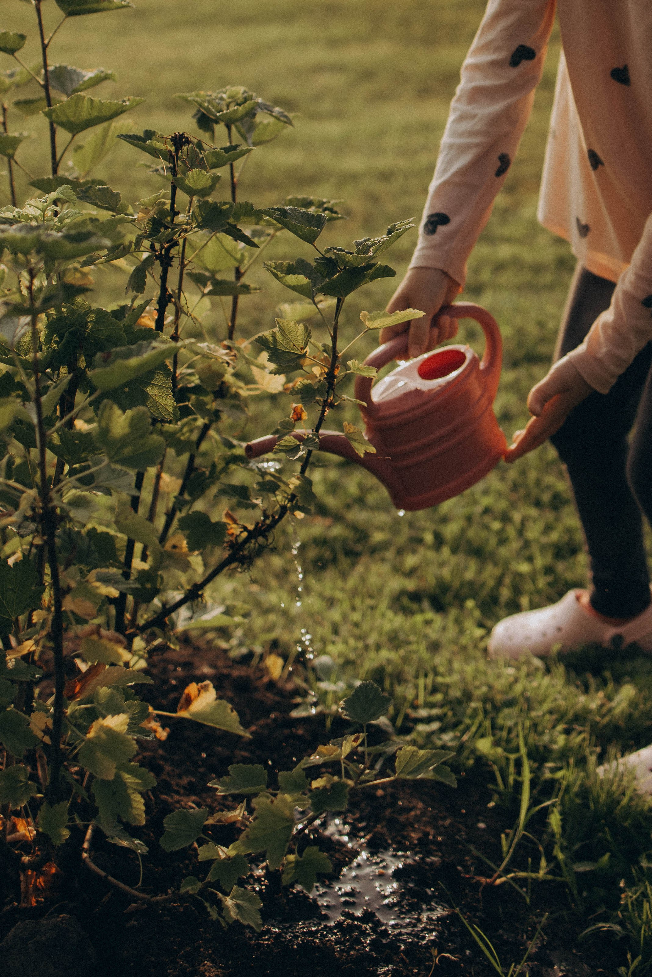Одним летним днем. Фотограф lifestylе в Москве Пшеничная Анастасия