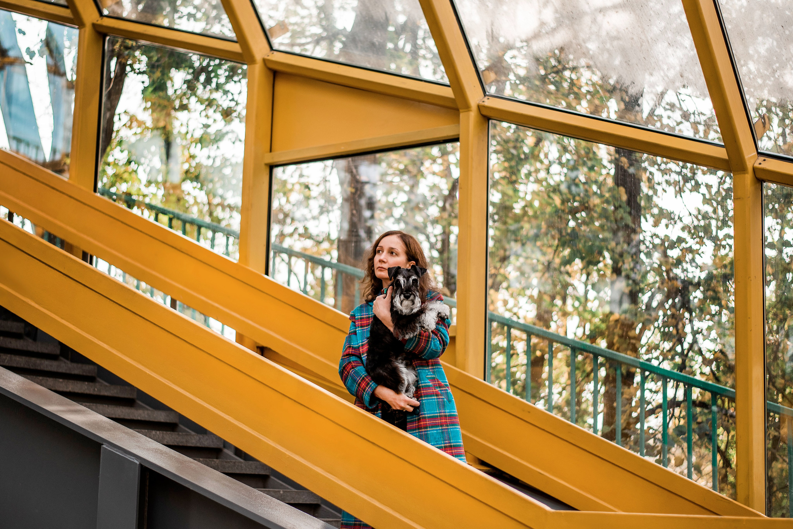 Екатерина и цвергшнауцер Феликс (Москва, 2020). Анна Пушина, фотограф, Москва, Королев, Пушкино
