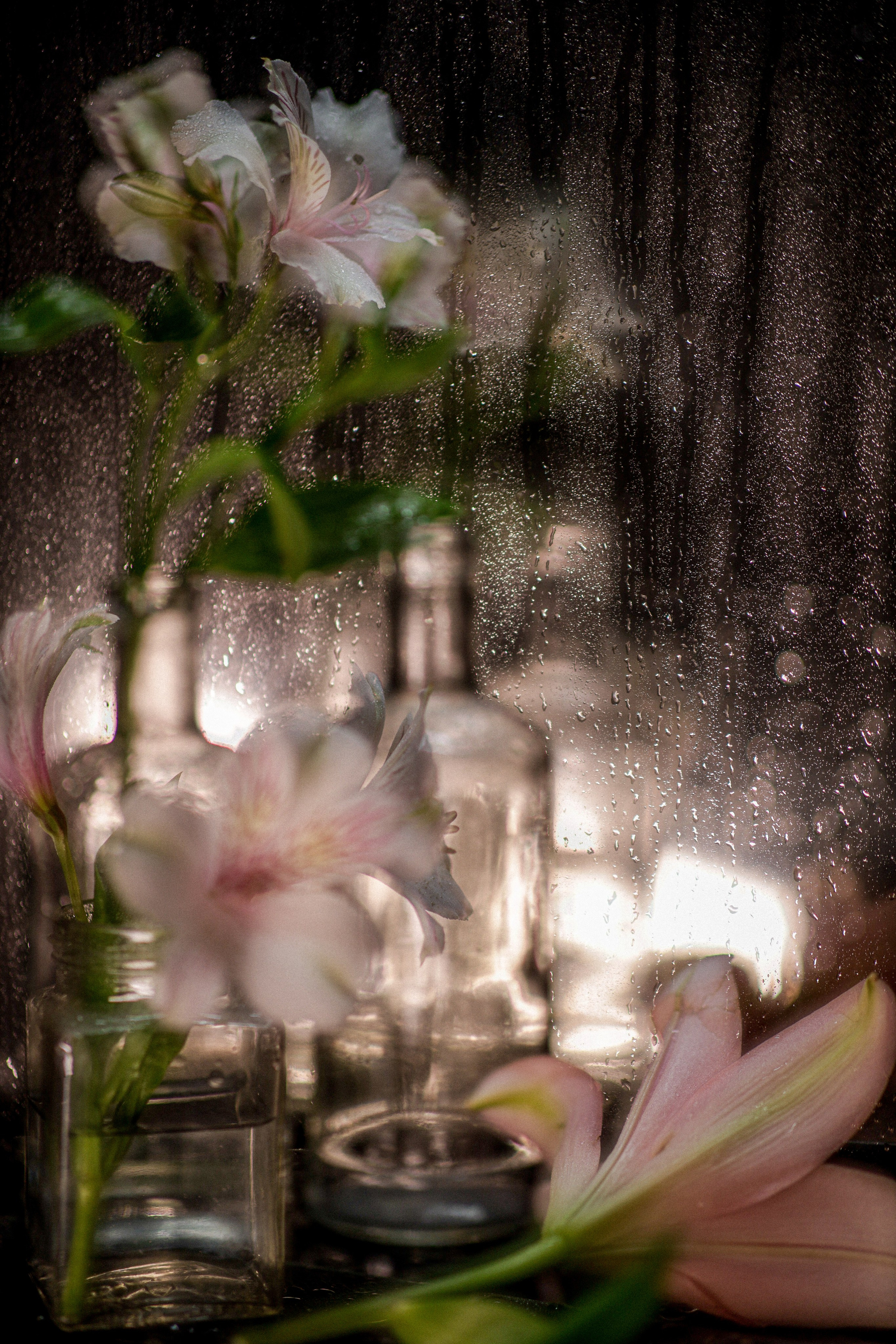 Природа &. Фотохудожник в СПб