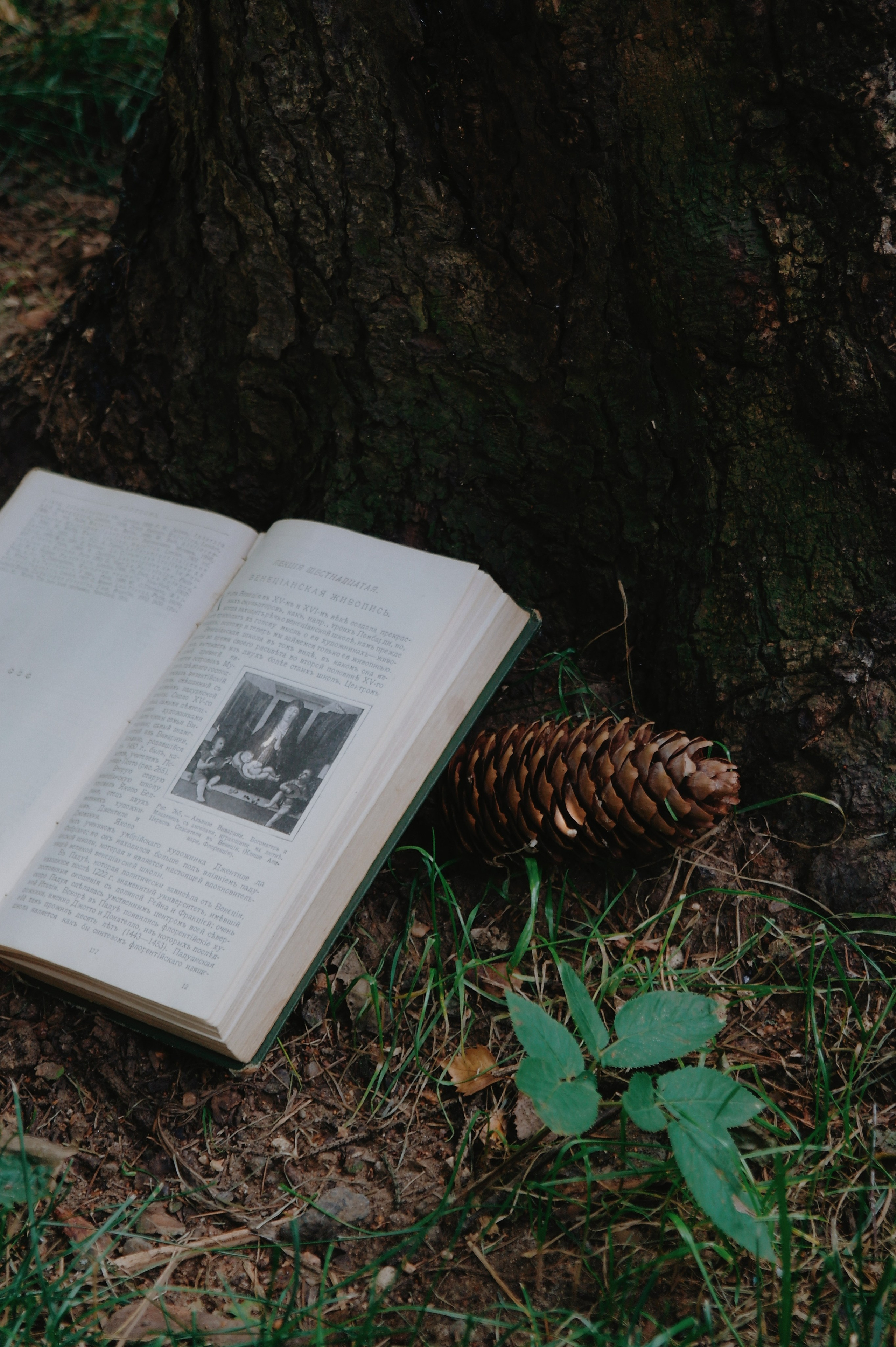 Переделкино. Татьян гертье