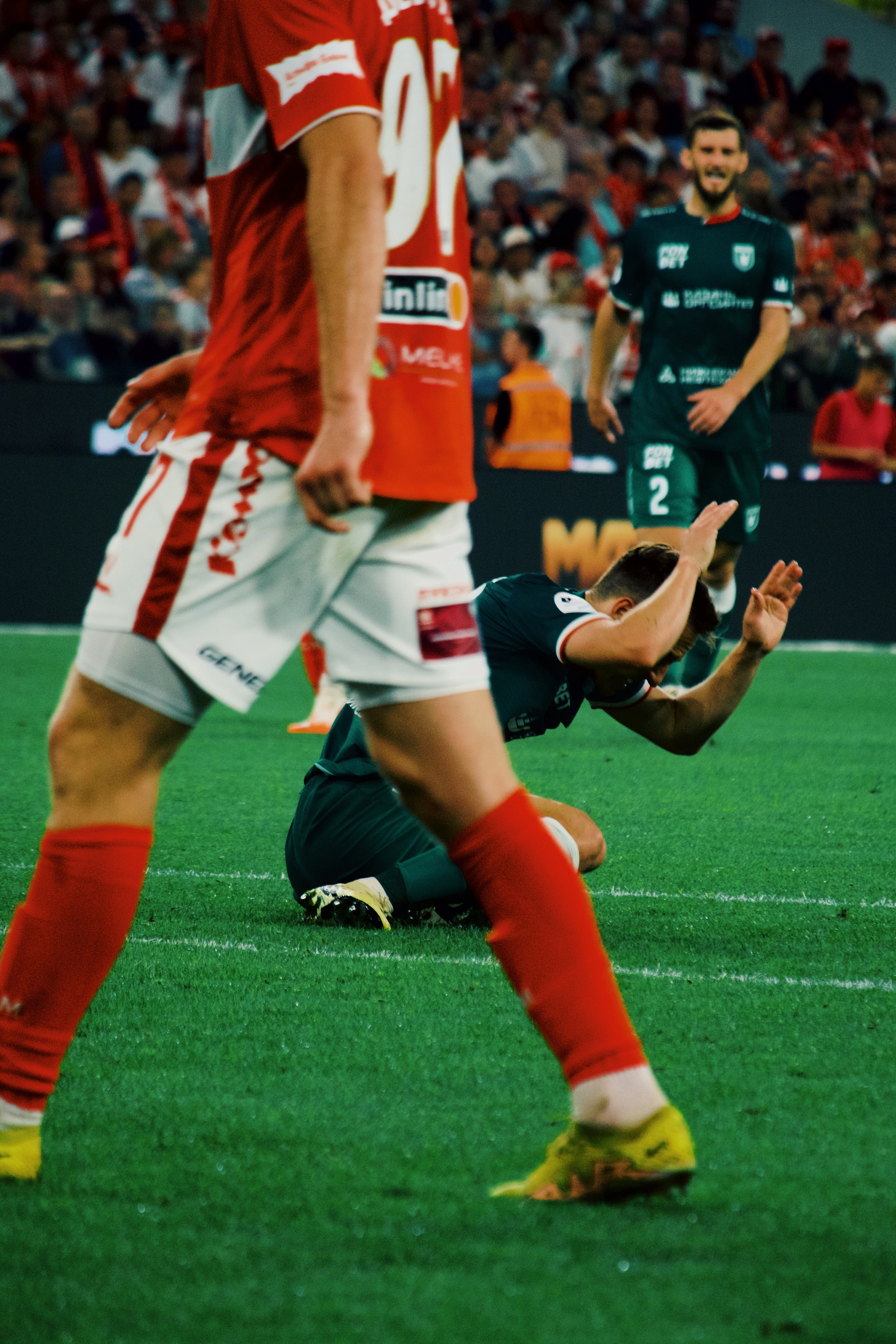 24/25. Татьян гертье