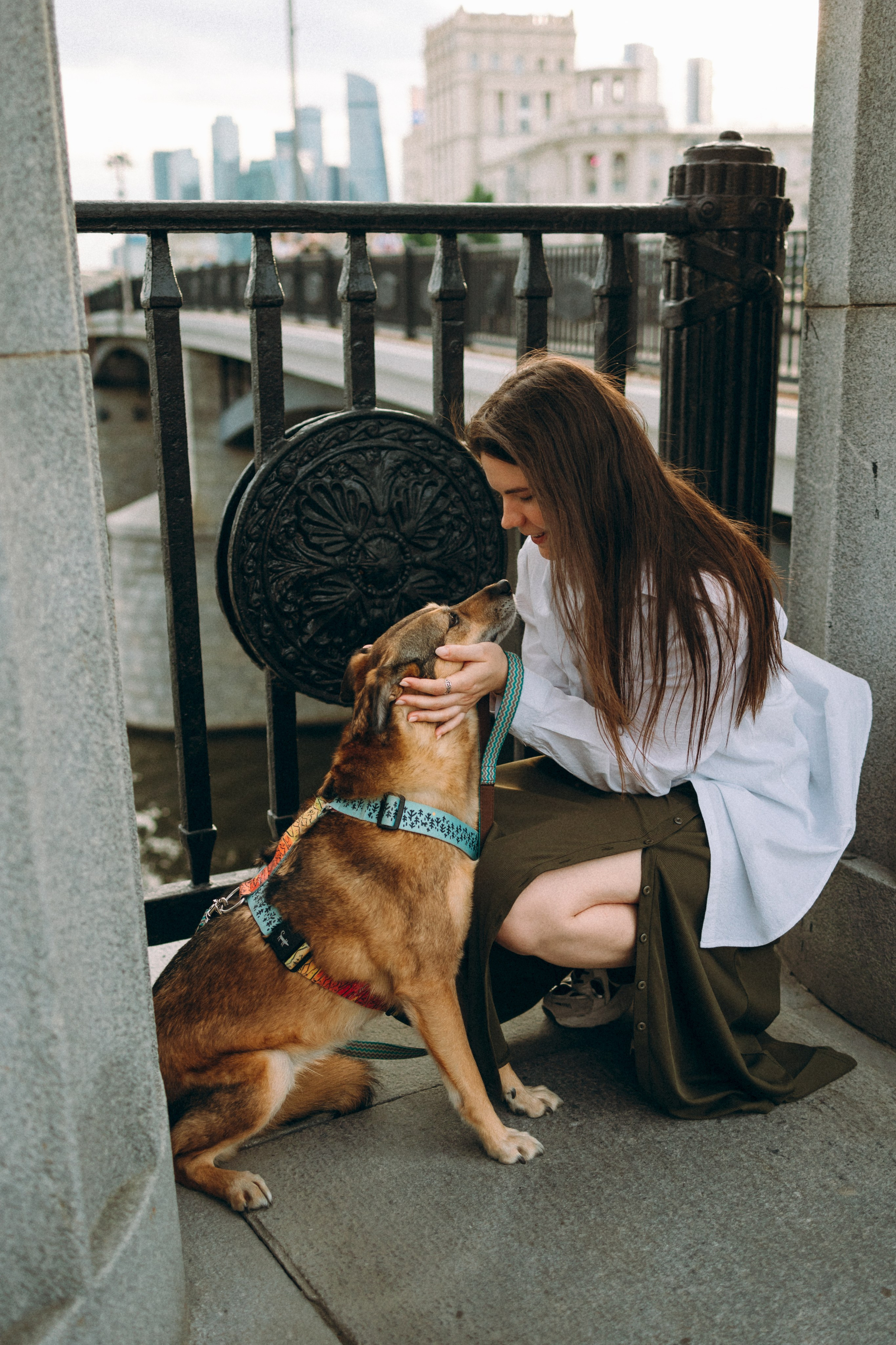 Глаша, Айрон, Ксюша и Оля. Фотограф анималист Анастасия Пикей