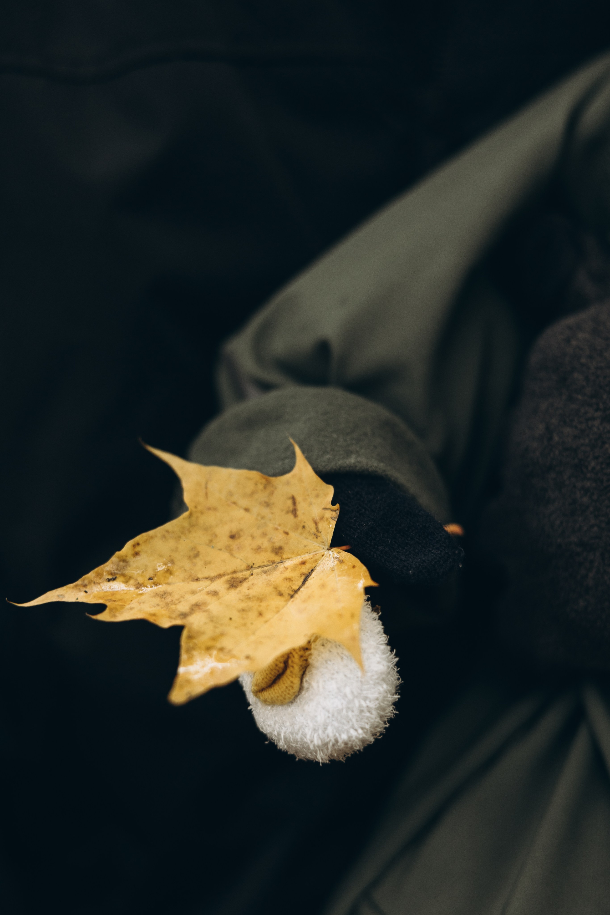 Настя, Кирилл и Тимур. Семейный фотограф в Москве Виктория Ястребинская