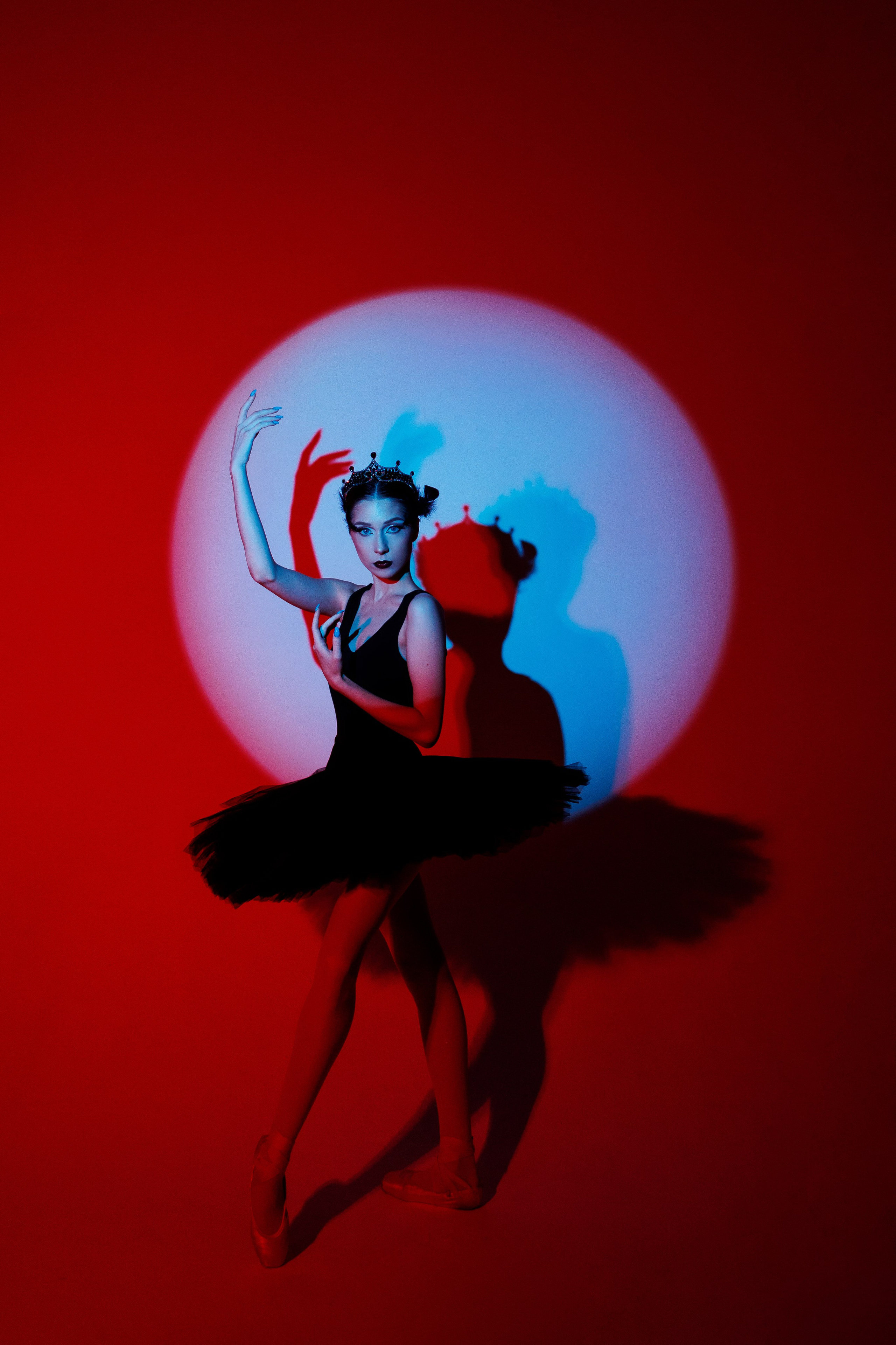 Черный лебедь. Марковкина КрисТина