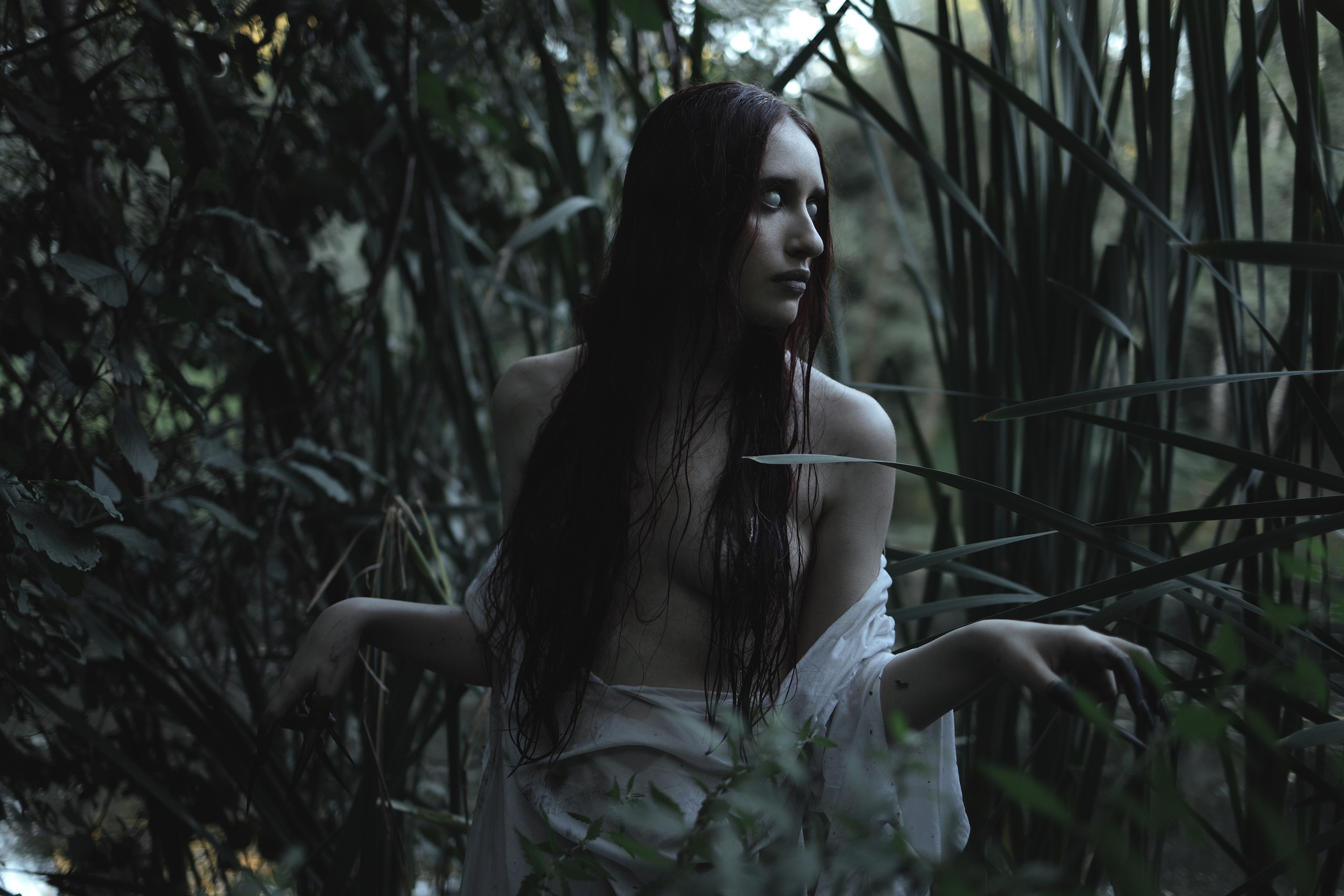 Wermut oder Petersilie?. Арт-фотограф. Coffelisk