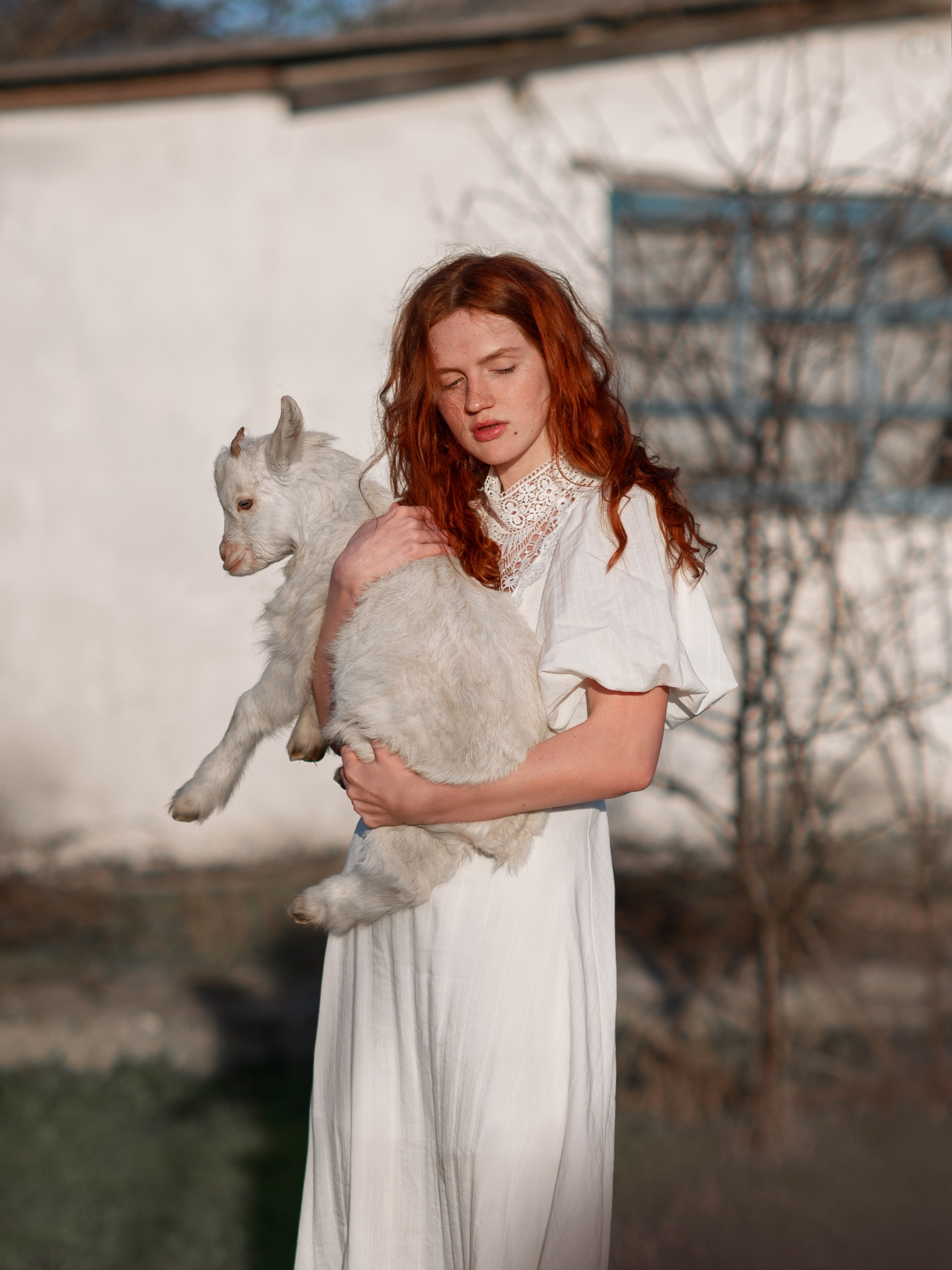 Фотосессия с козлятами в Севастополе