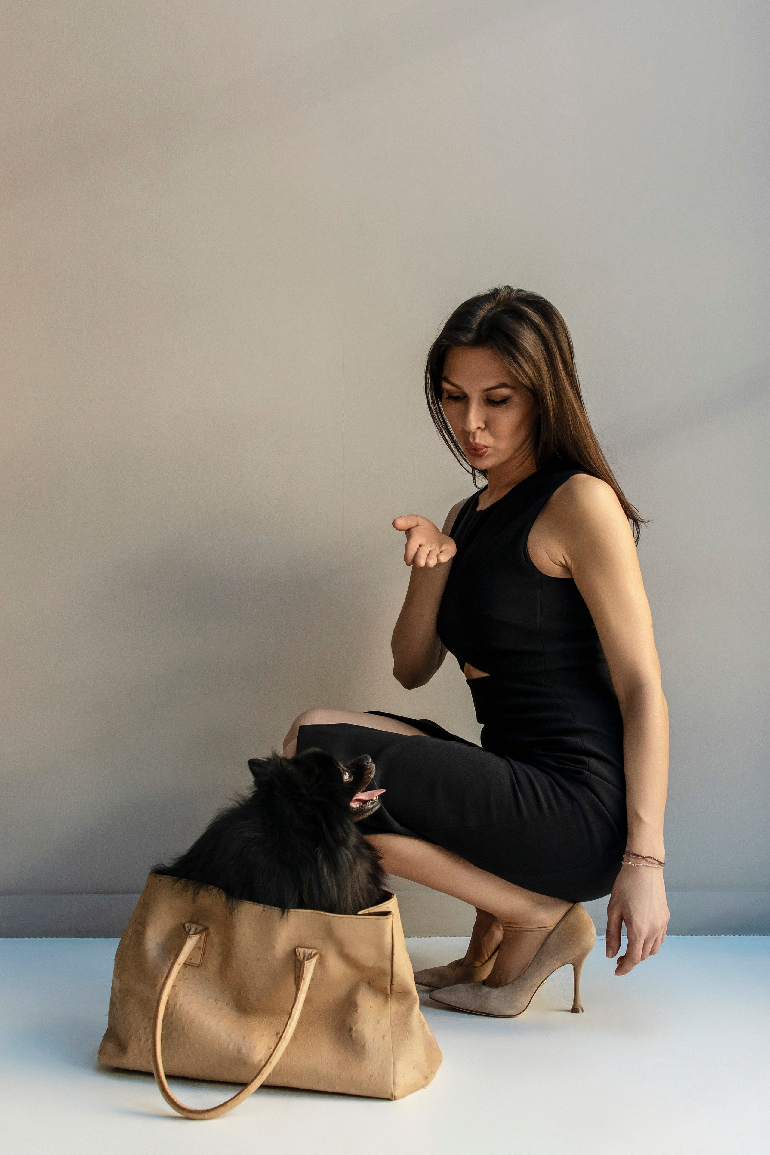 Съемка в студии с собакой. Анастасия Белаш