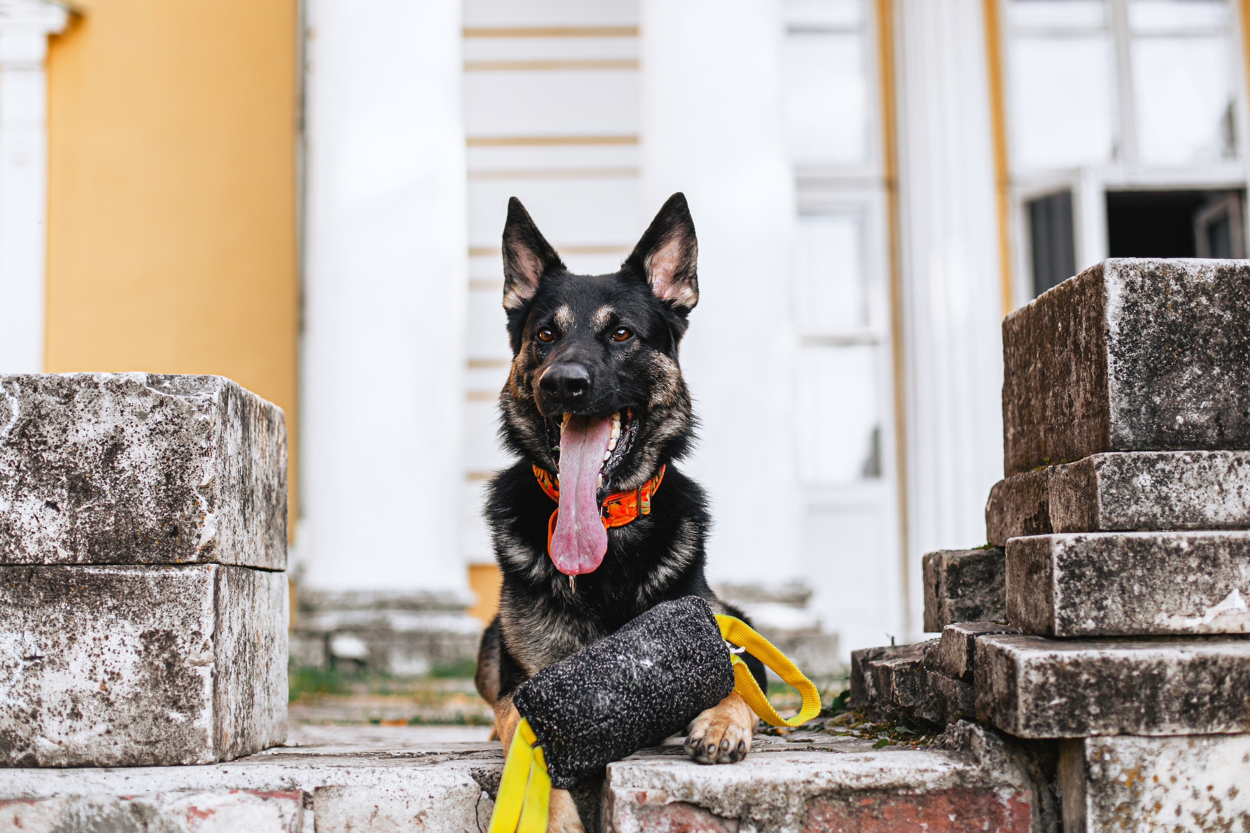Илай. Фотограф-анималист Татьяна Степанова