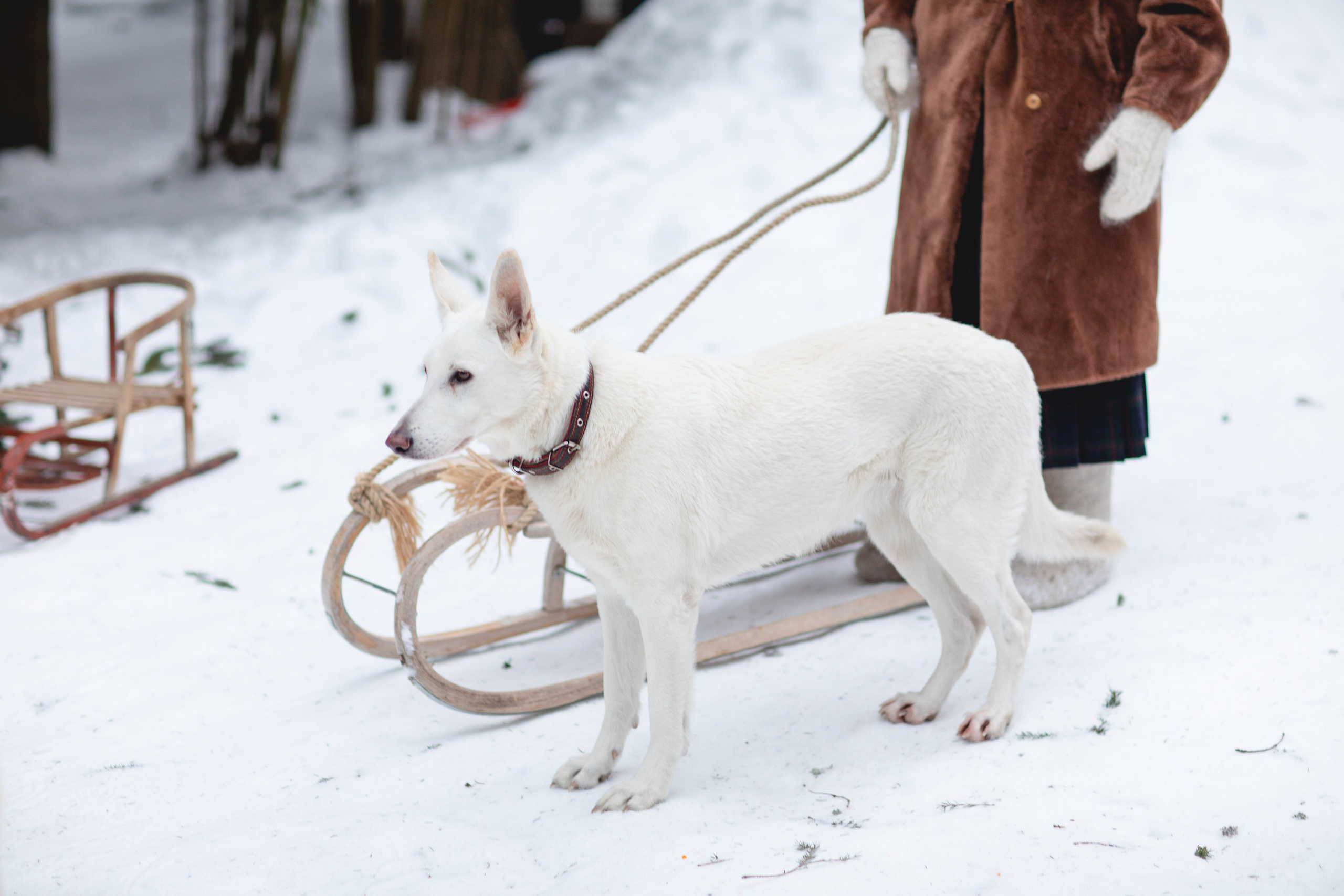 Домик в лесу. Семейный фотограф в Москве Анастасия Гурьянова