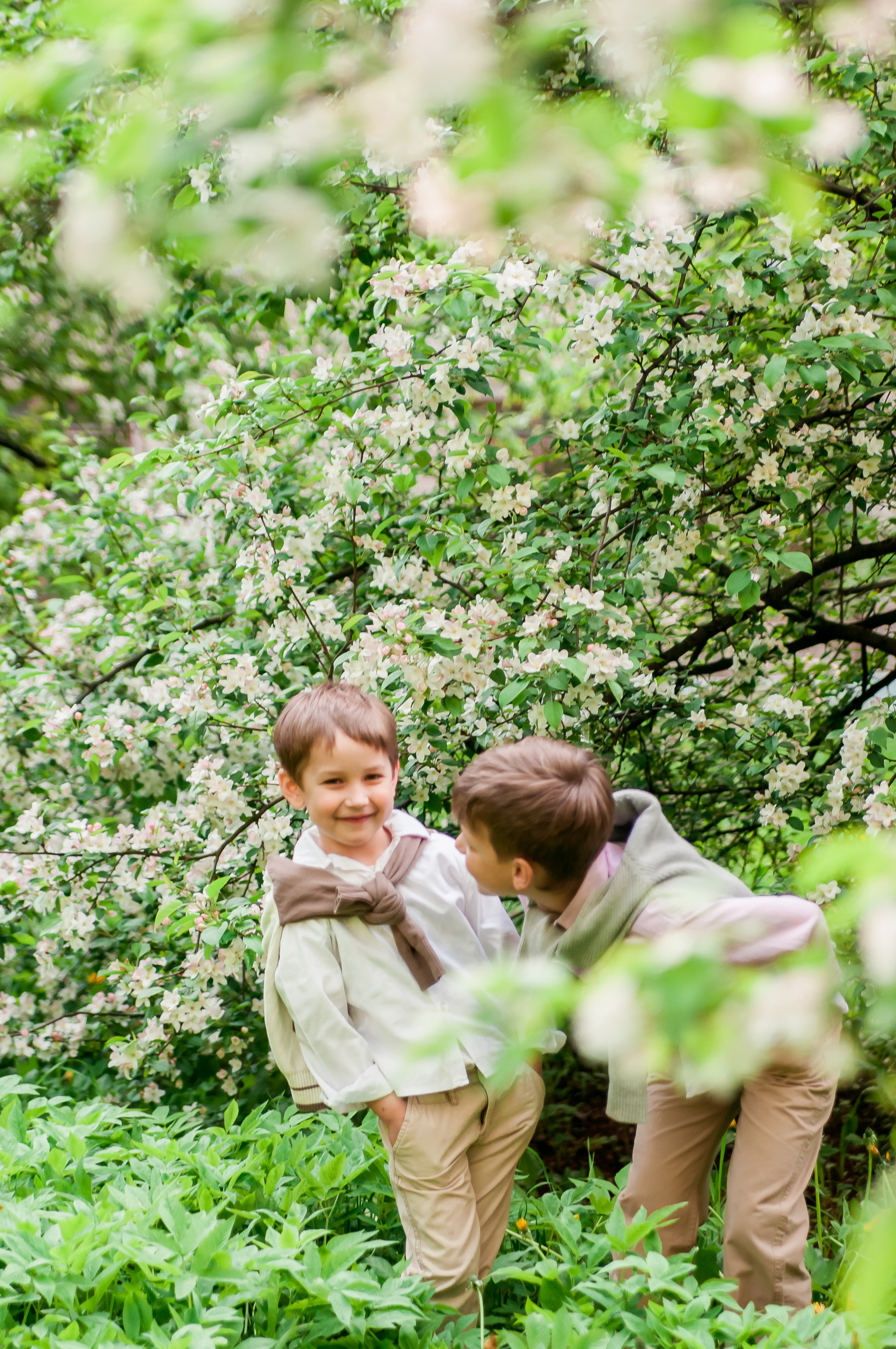 Весенняя фотосессия: «Цветение и дети». Семейный и детский фотограф в Ярославле, Максимова Светлана