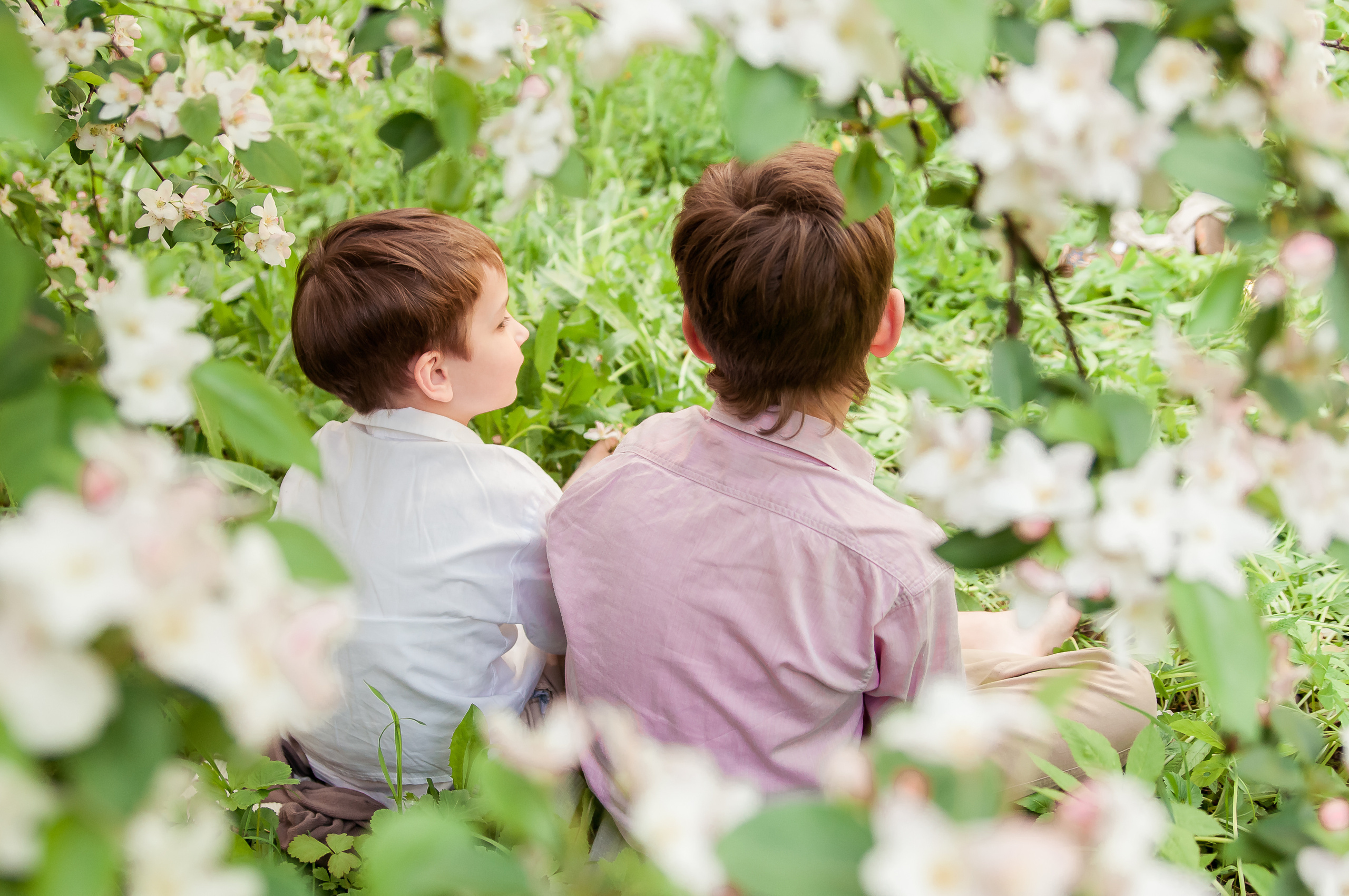 Весенняя фотосессия: «Цветение и дети». Семейный и детский фотограф в Ярославле, Максимова Светлана